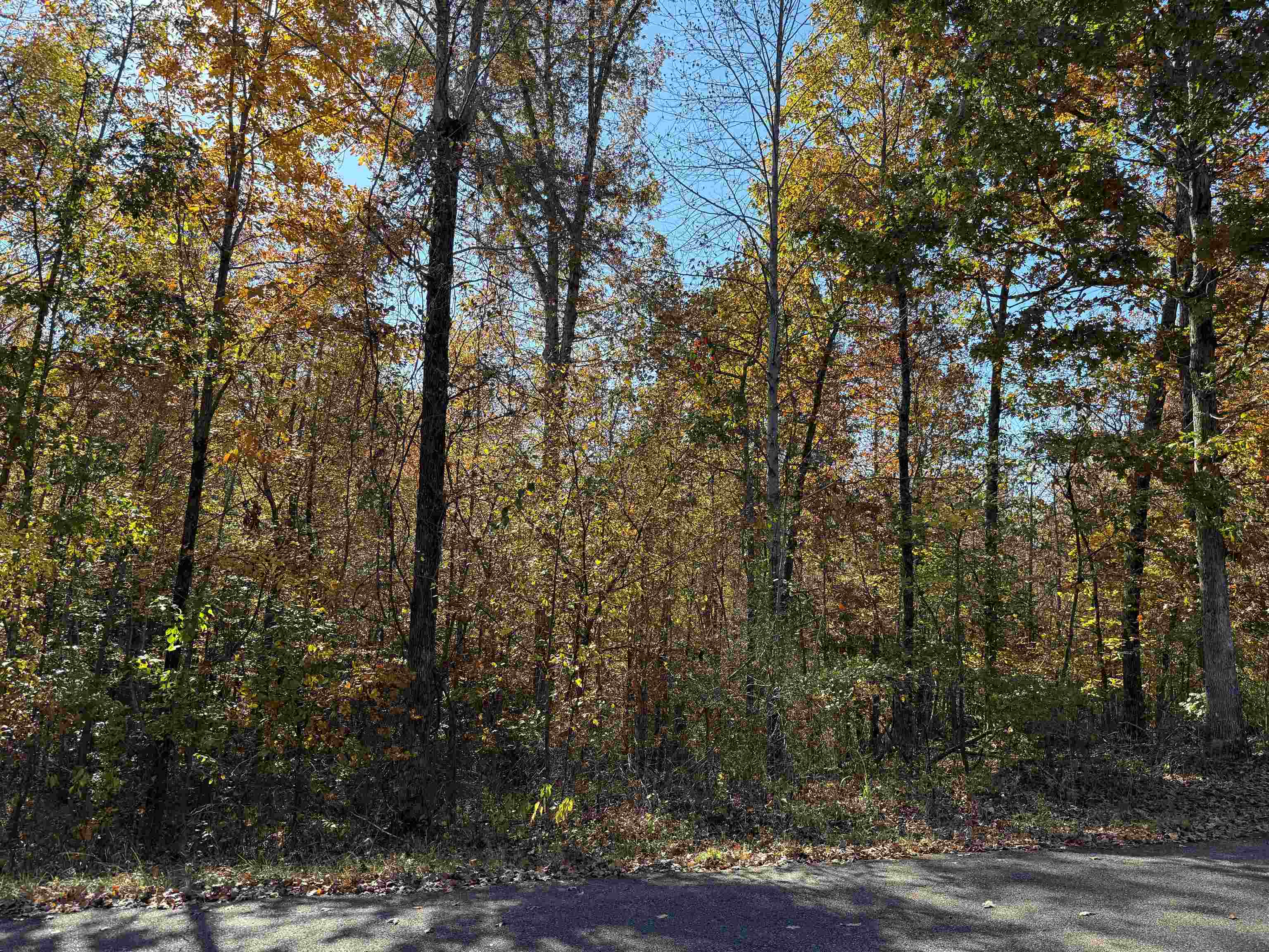 2 Woods Cliff Ln Property Photo 2