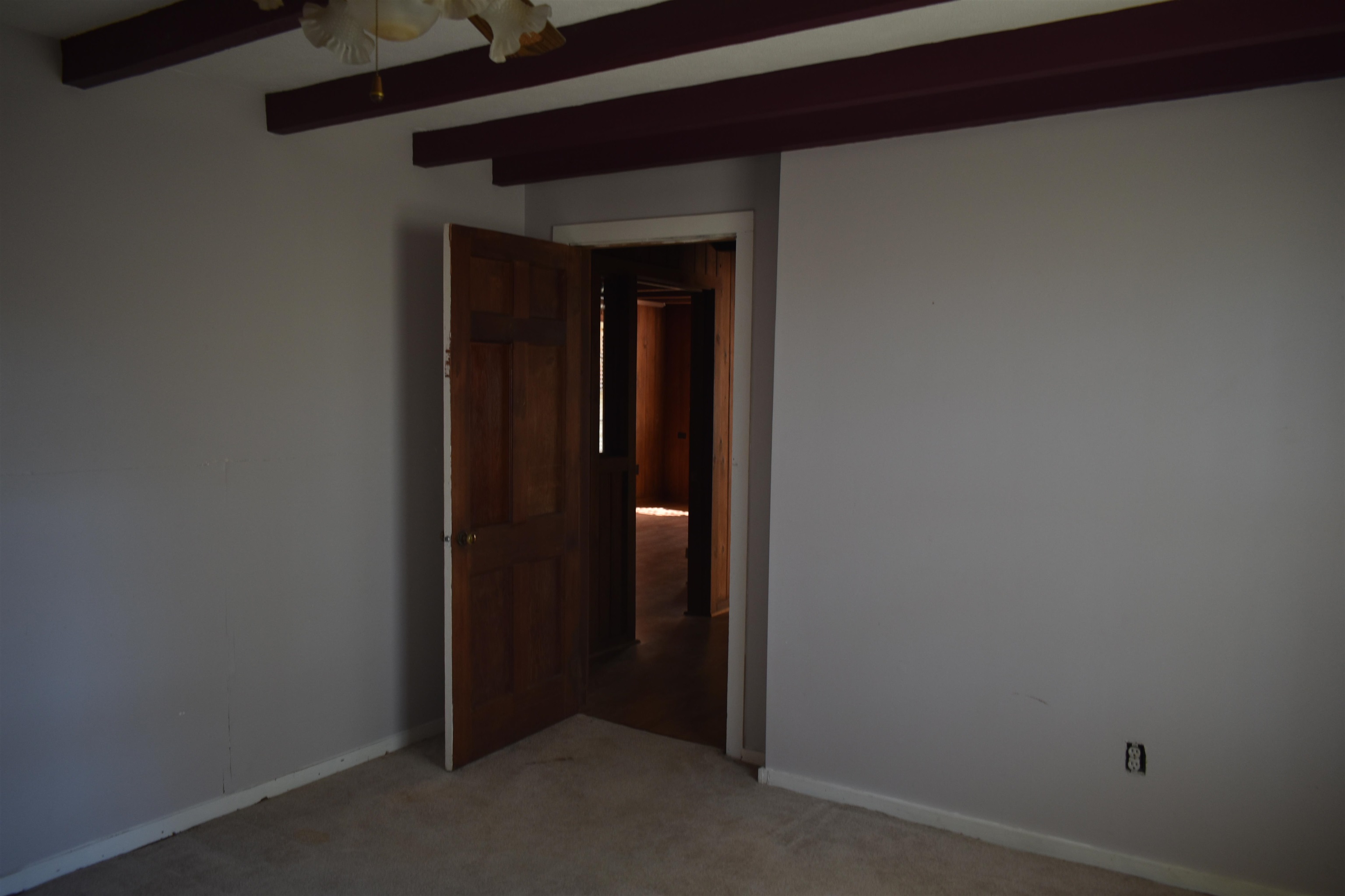 115 Falcon St Property Photo 17