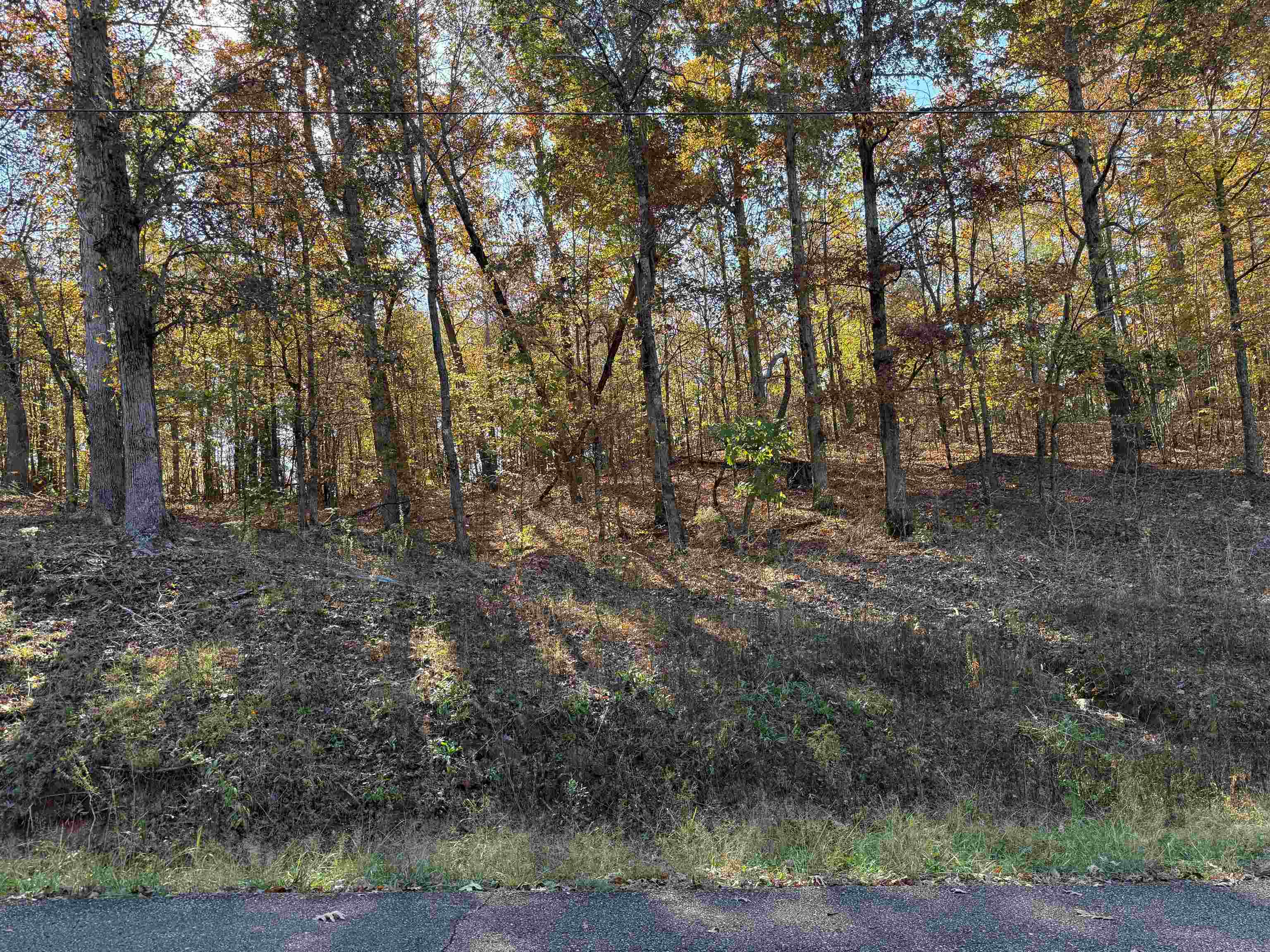 5 Woods Cliff Ln Property Photo 1