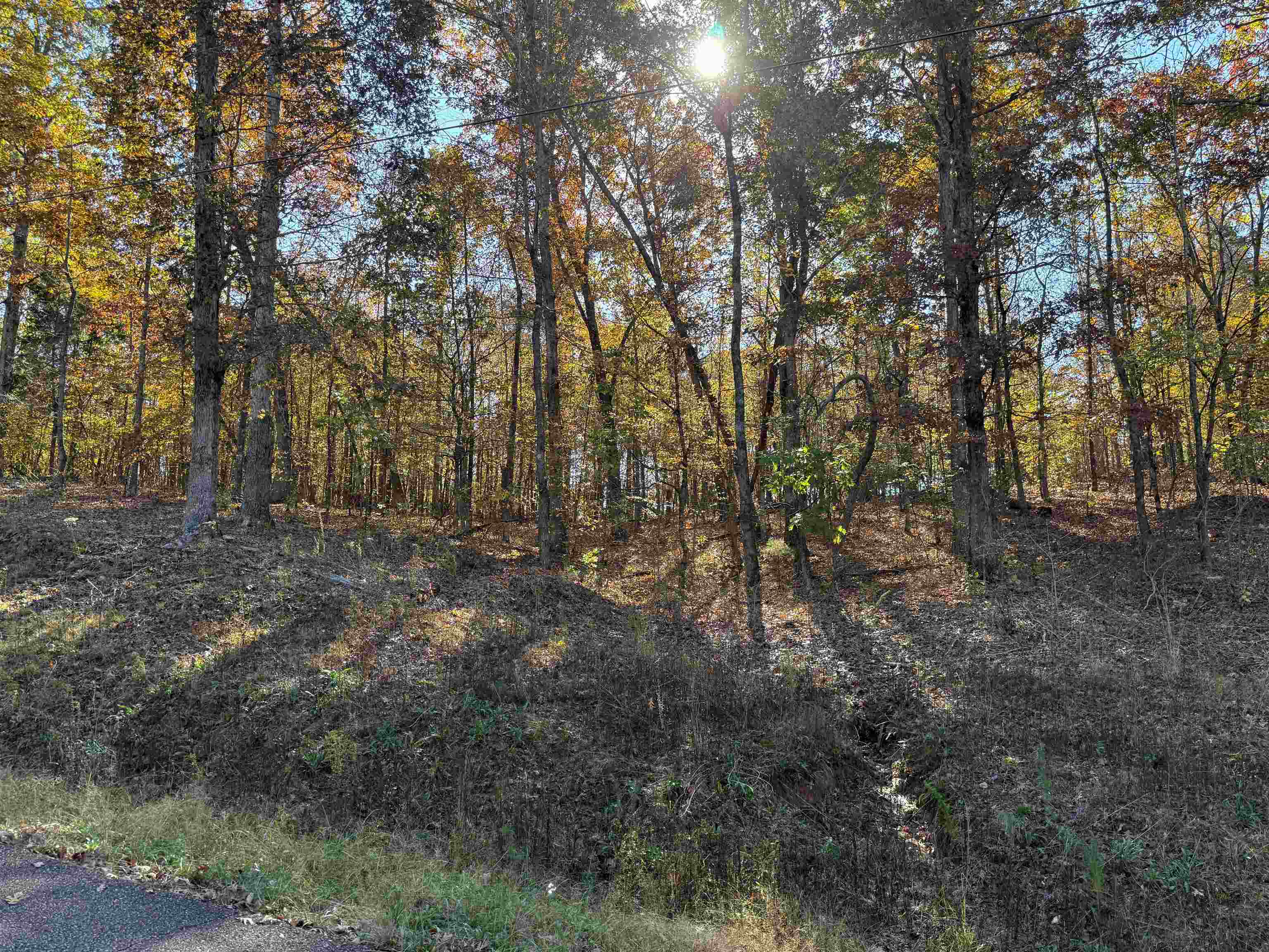 5 Woods Cliff Ln Property Photo 2