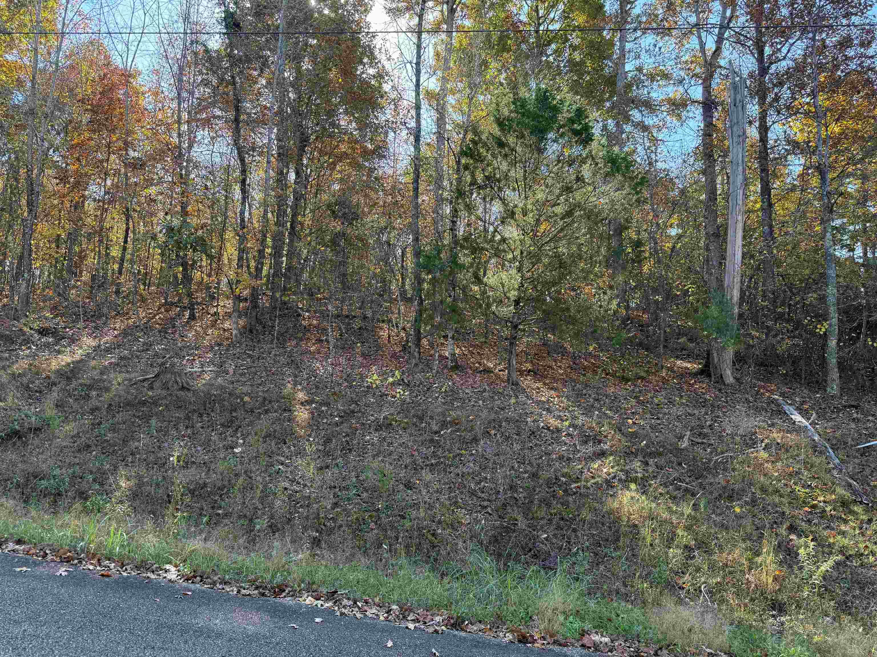 6 WOODS CLIFF LN Property Photo 1