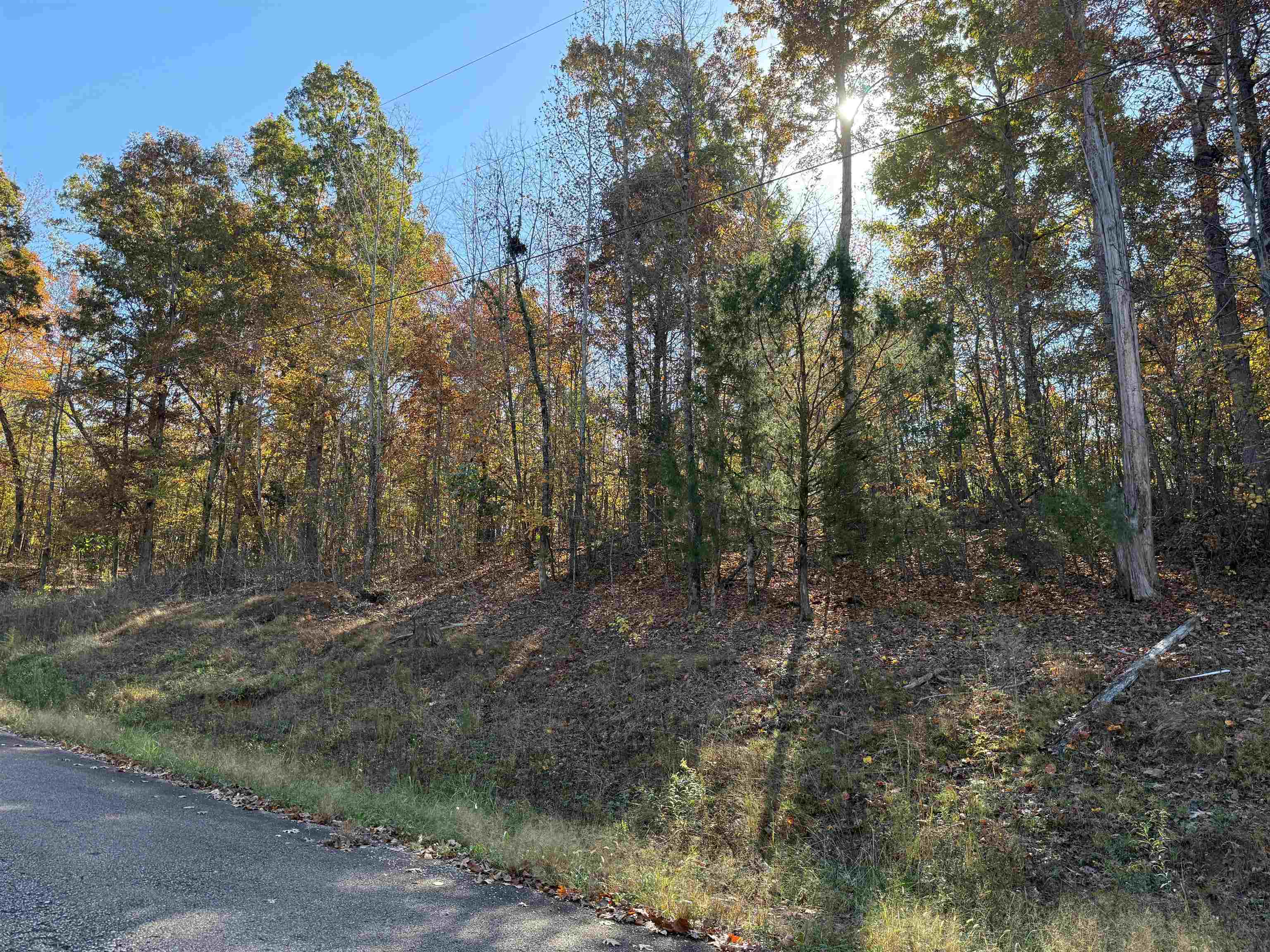 7 Woods Cliff Ln Property Photo 2