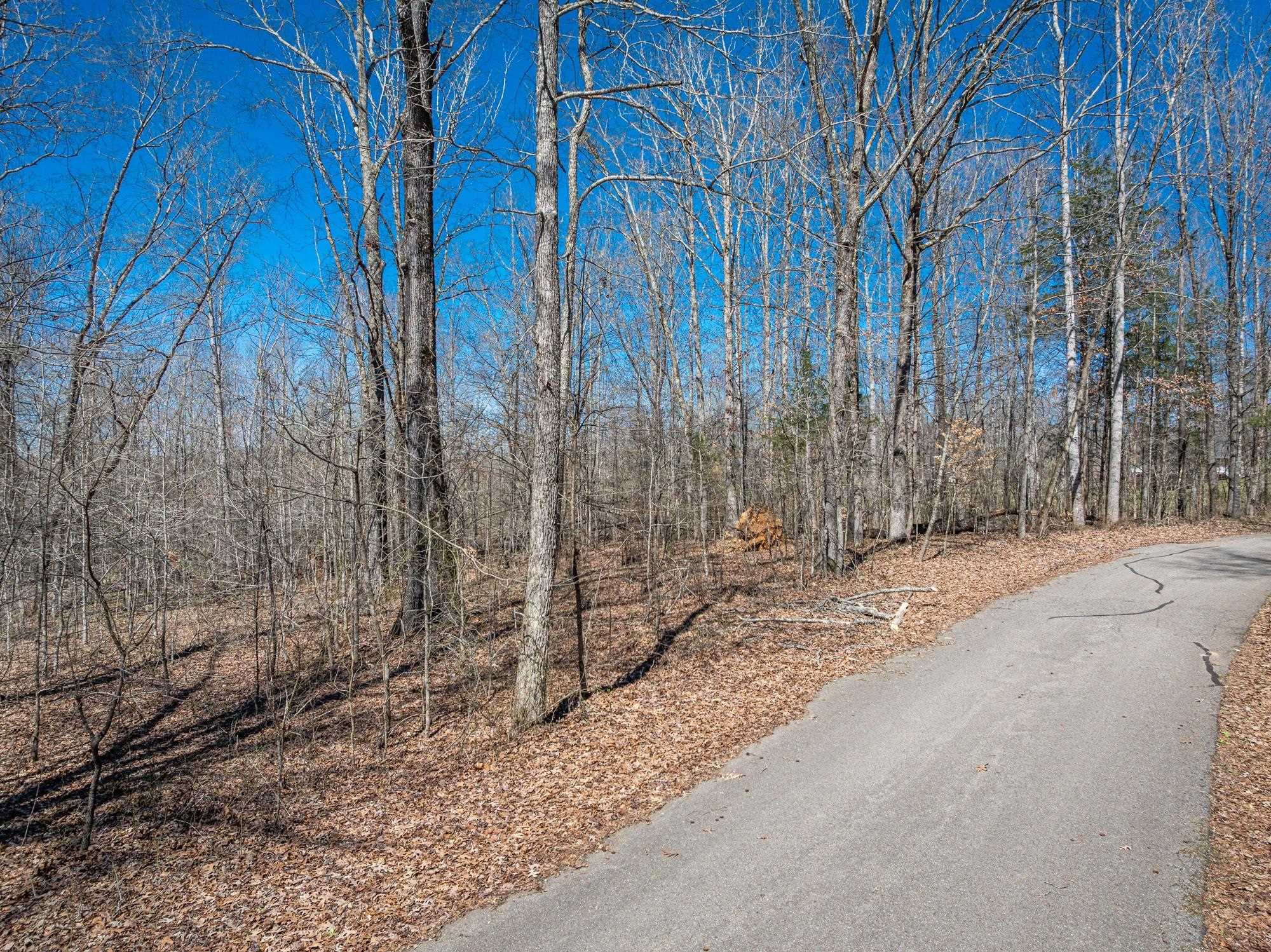 Lot 80 Featherfoot Pkwy Loop Property Photo 3