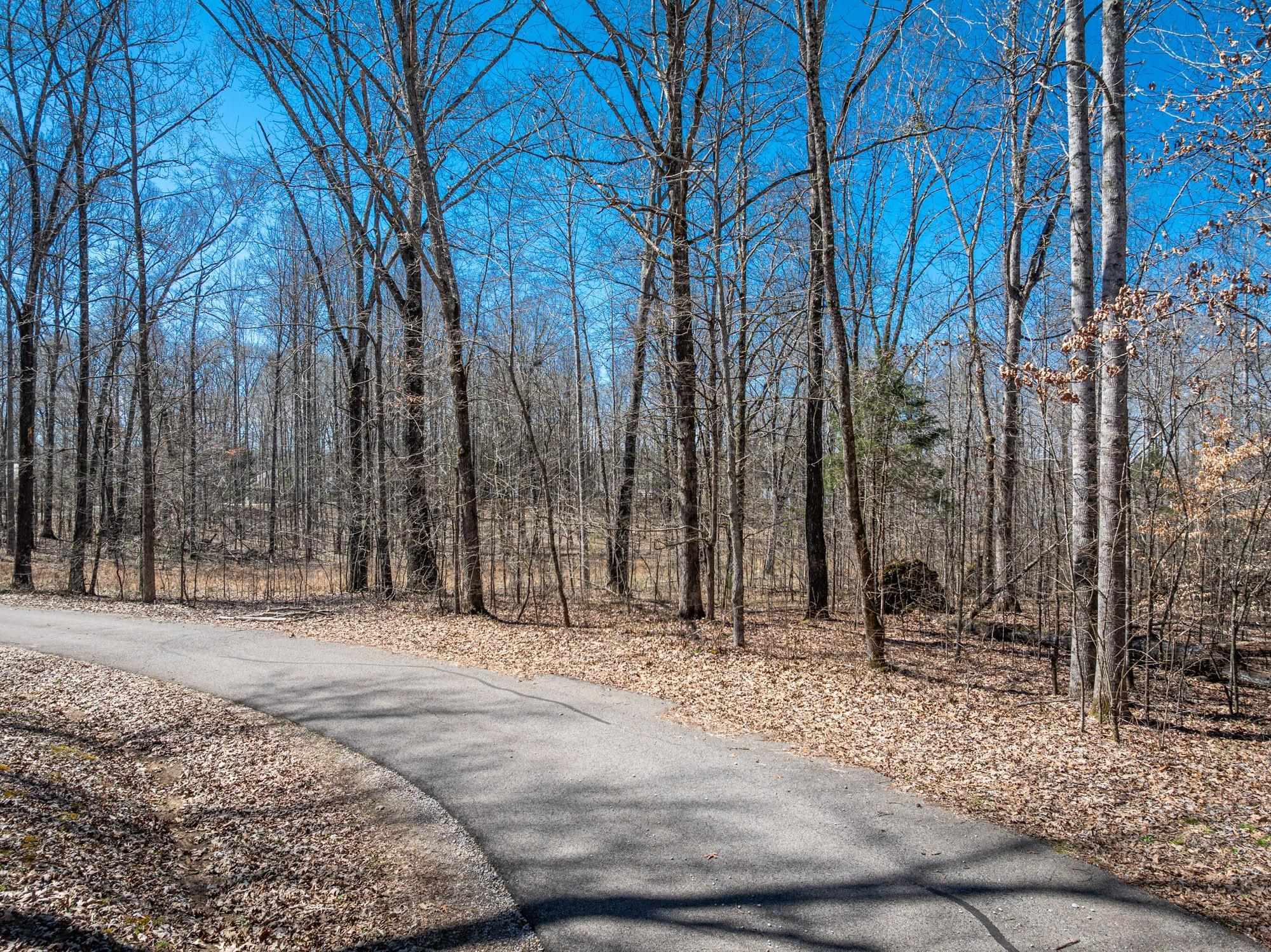 Lot 80 Featherfoot Pkwy Loop Property Photo 4