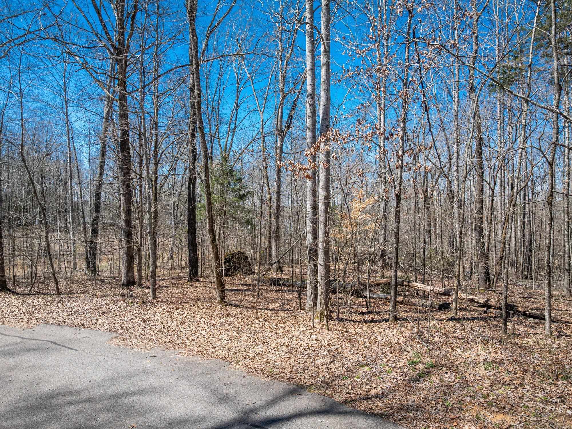Lot 80 Featherfoot Pkwy Loop Property Photo 7