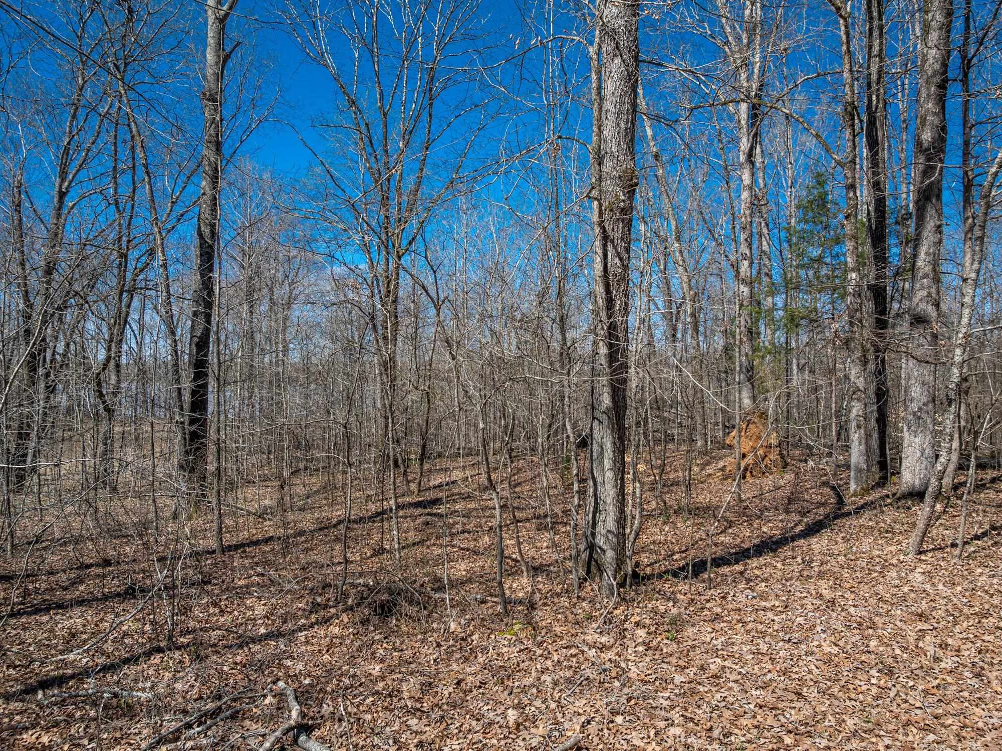 Lot 80 Featherfoot Pkwy Loop Property Photo 8