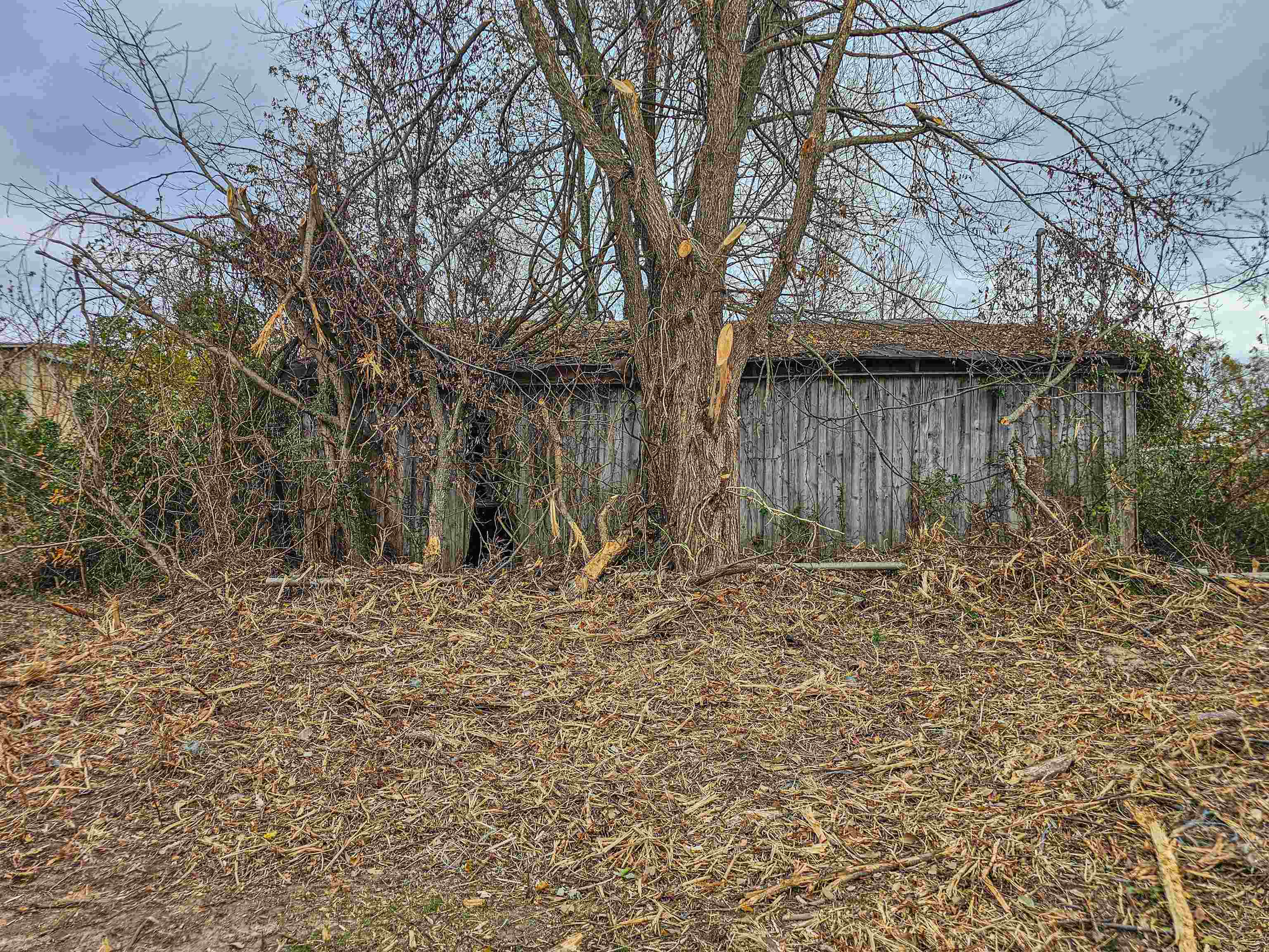 Fisherville Rd Property Photo 9