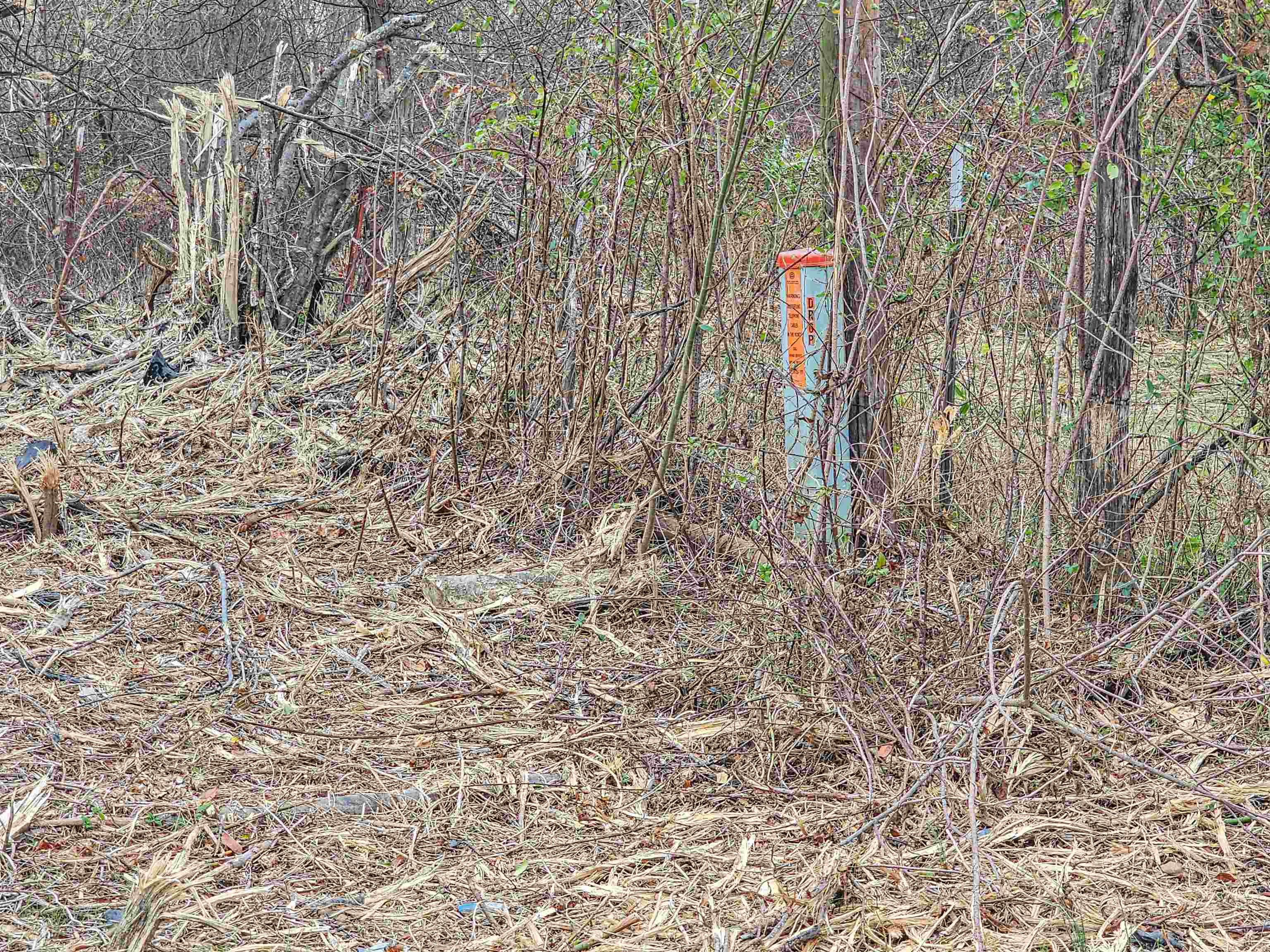 Fisherville Rd Property Photo 10