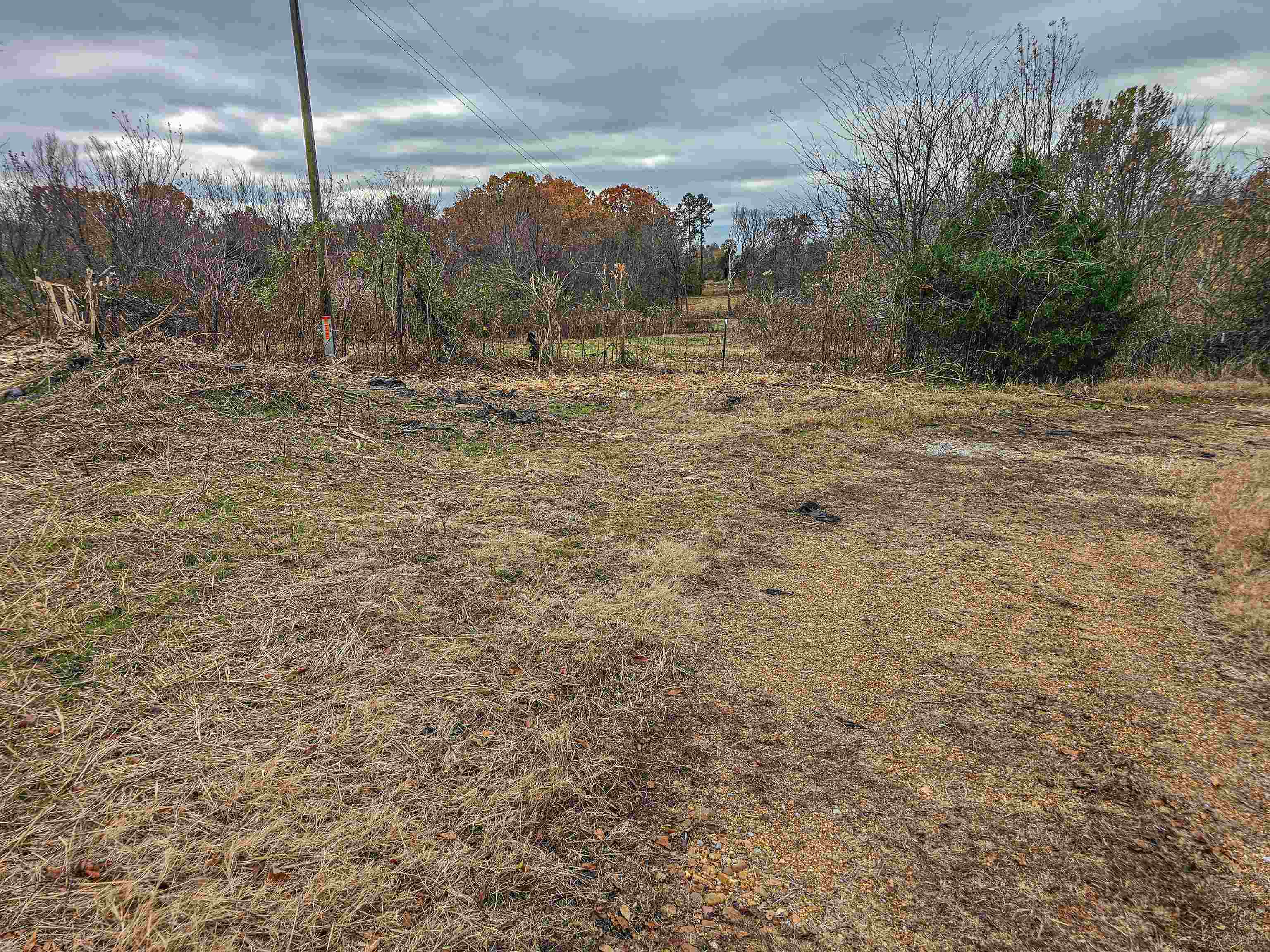 Fisherville Rd Property Photo 11