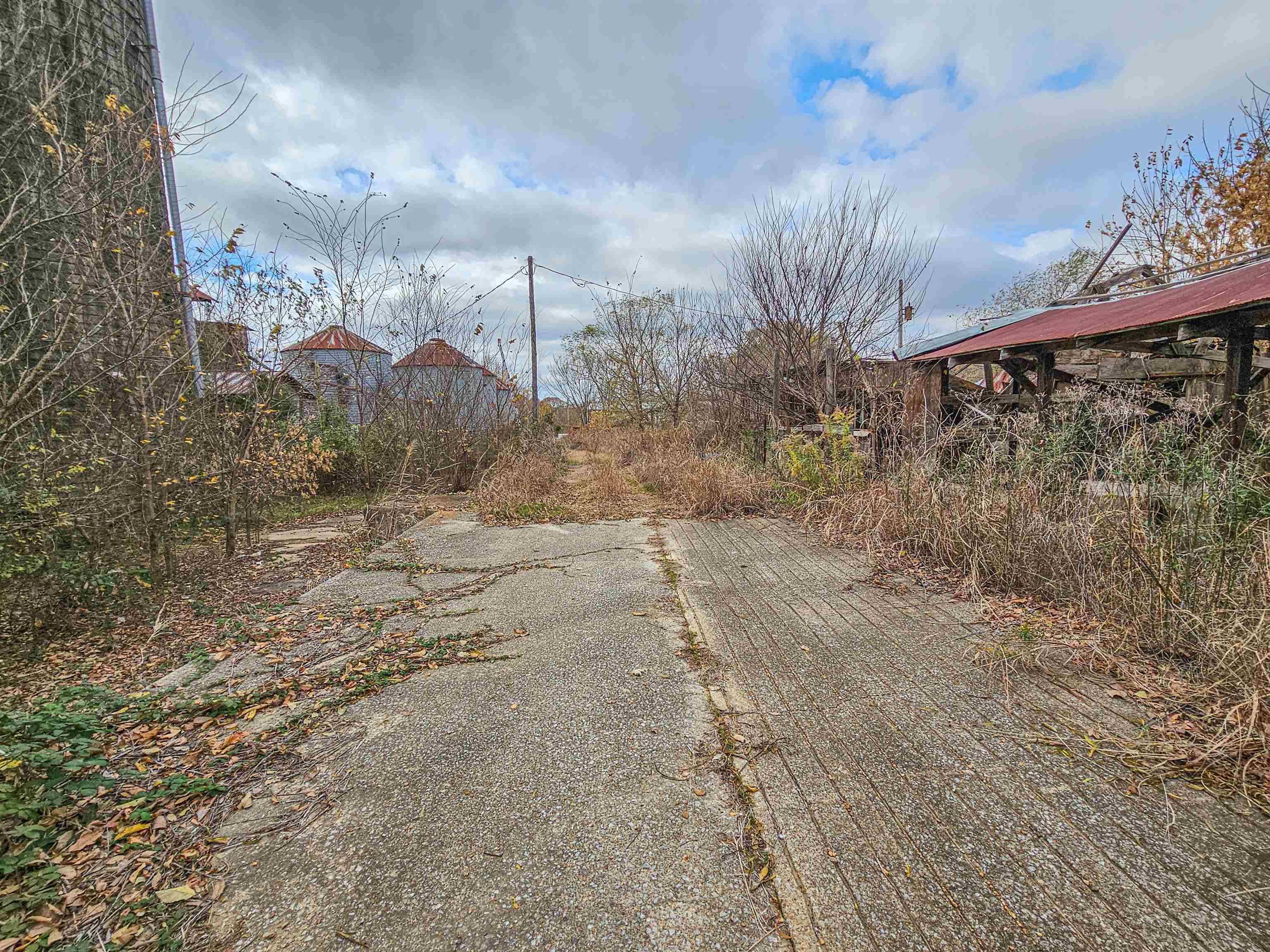 Fisherville Rd Property Photo 18