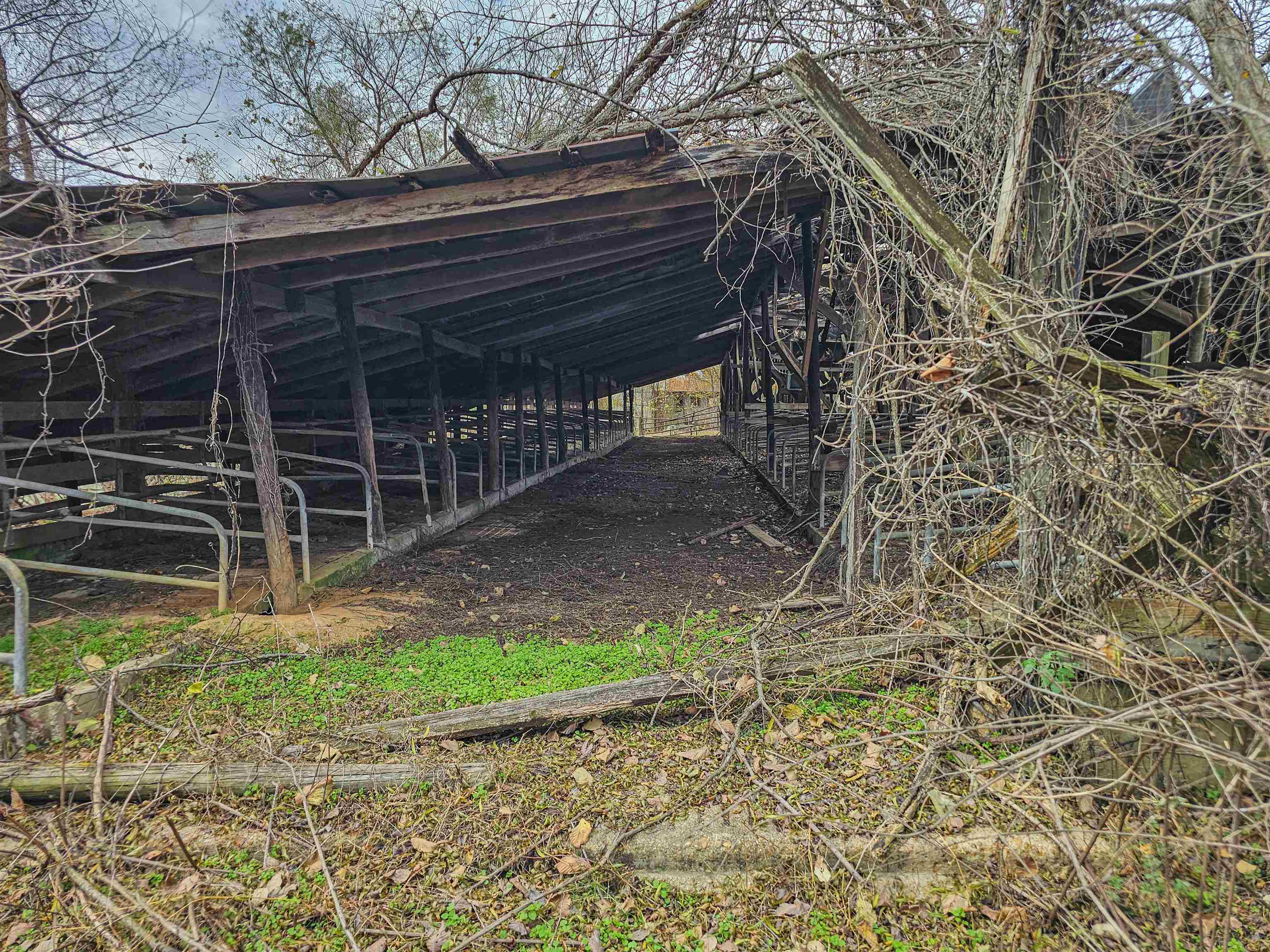 Fisherville Rd Property Photo 23