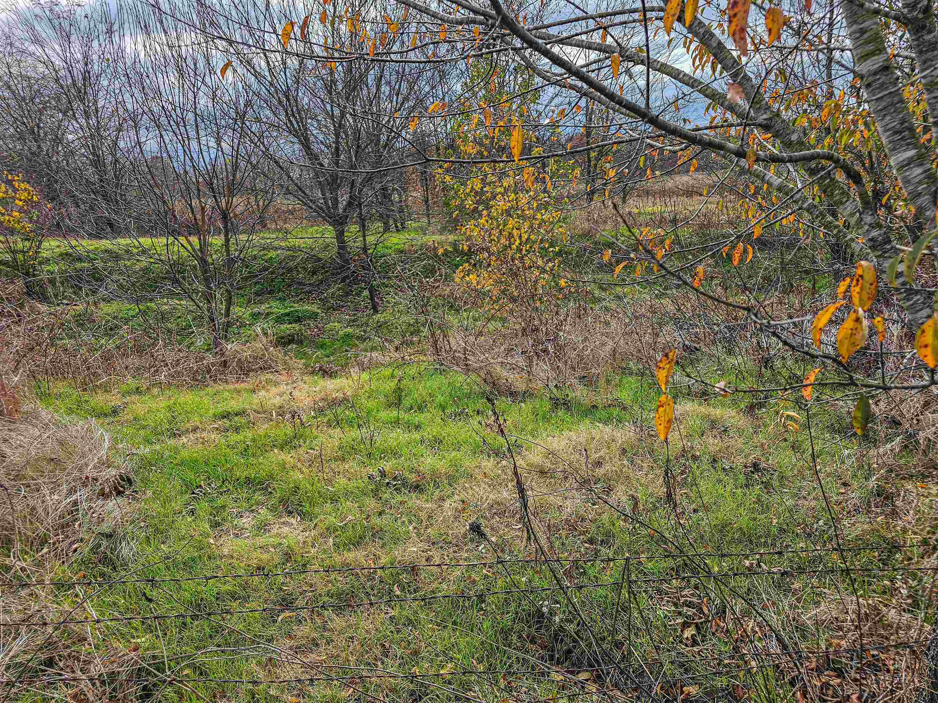 Fisherville Rd Property Photo 24