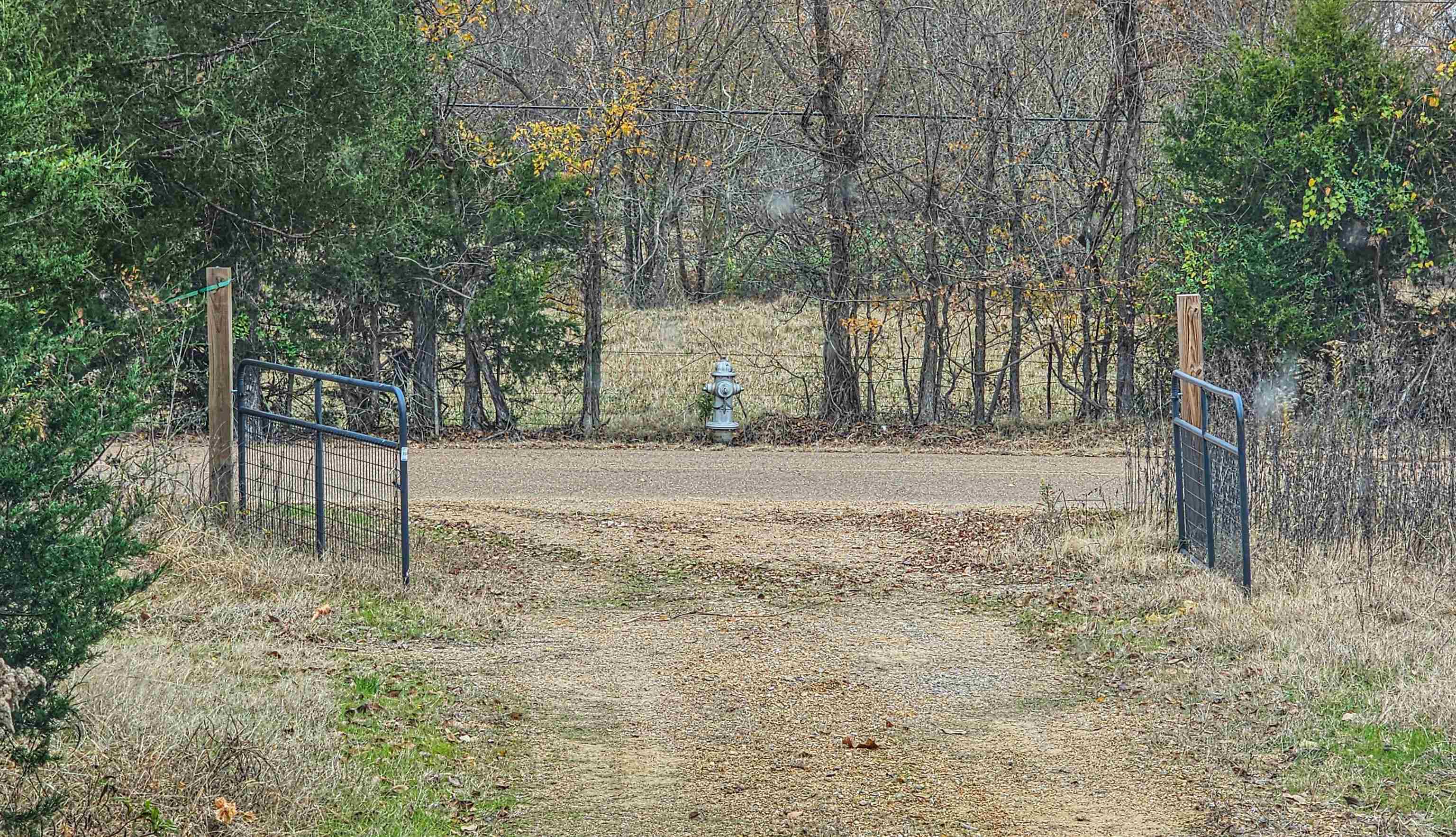 Fisherville Rd Property Photo 30