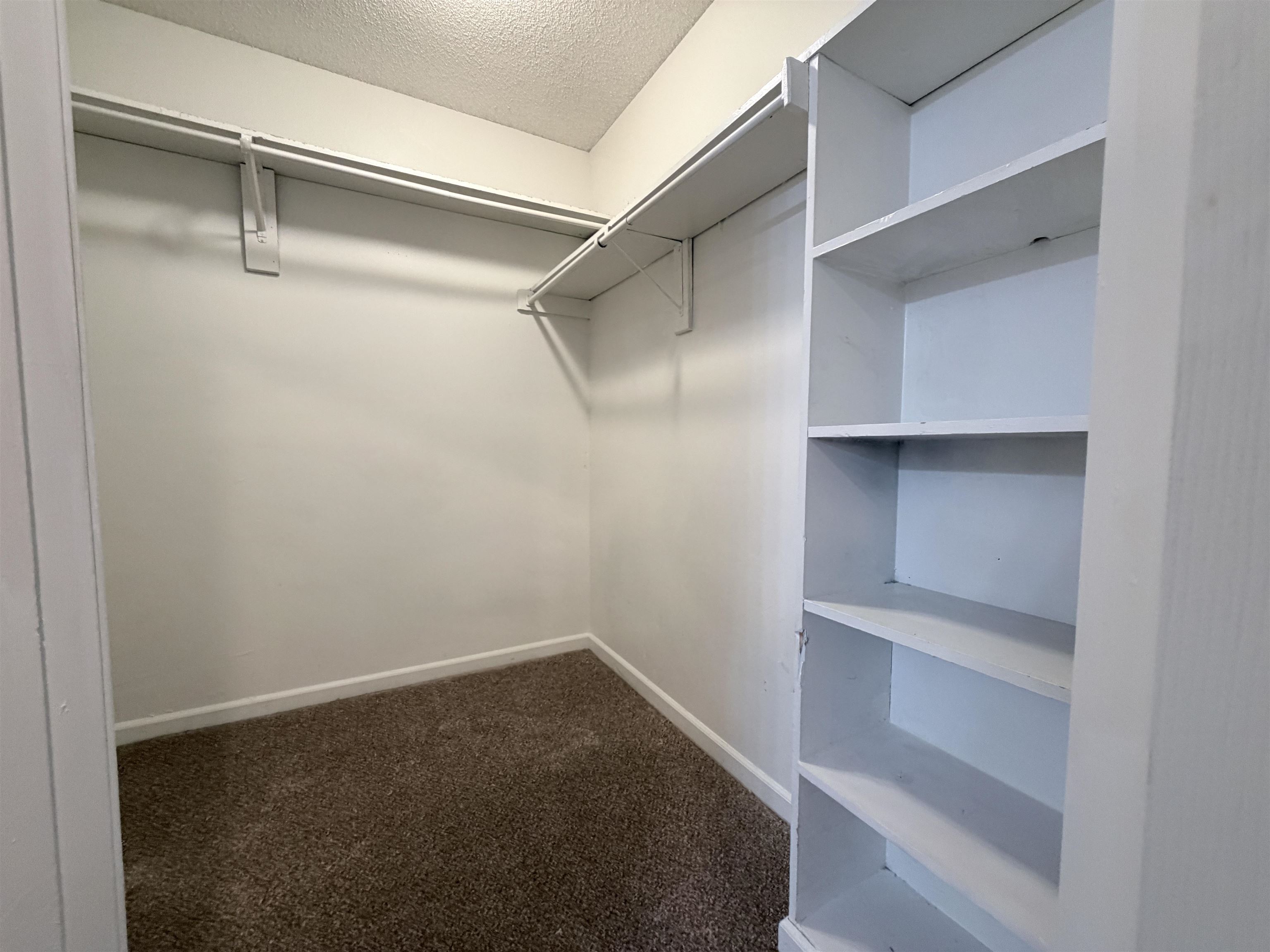 3466 Stonechase Cv Property Photo 17