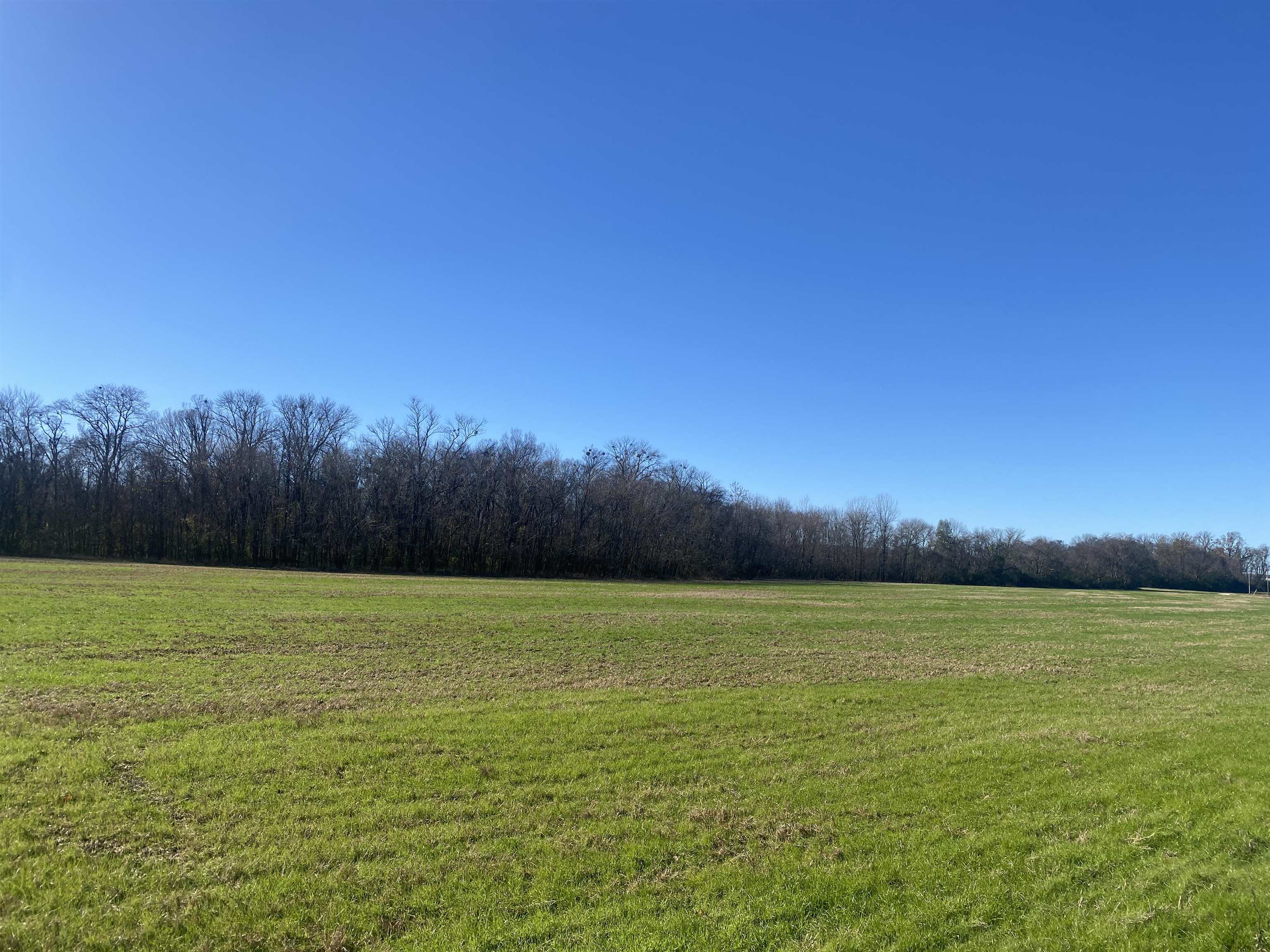 1 Bandit Way Property Photo 16