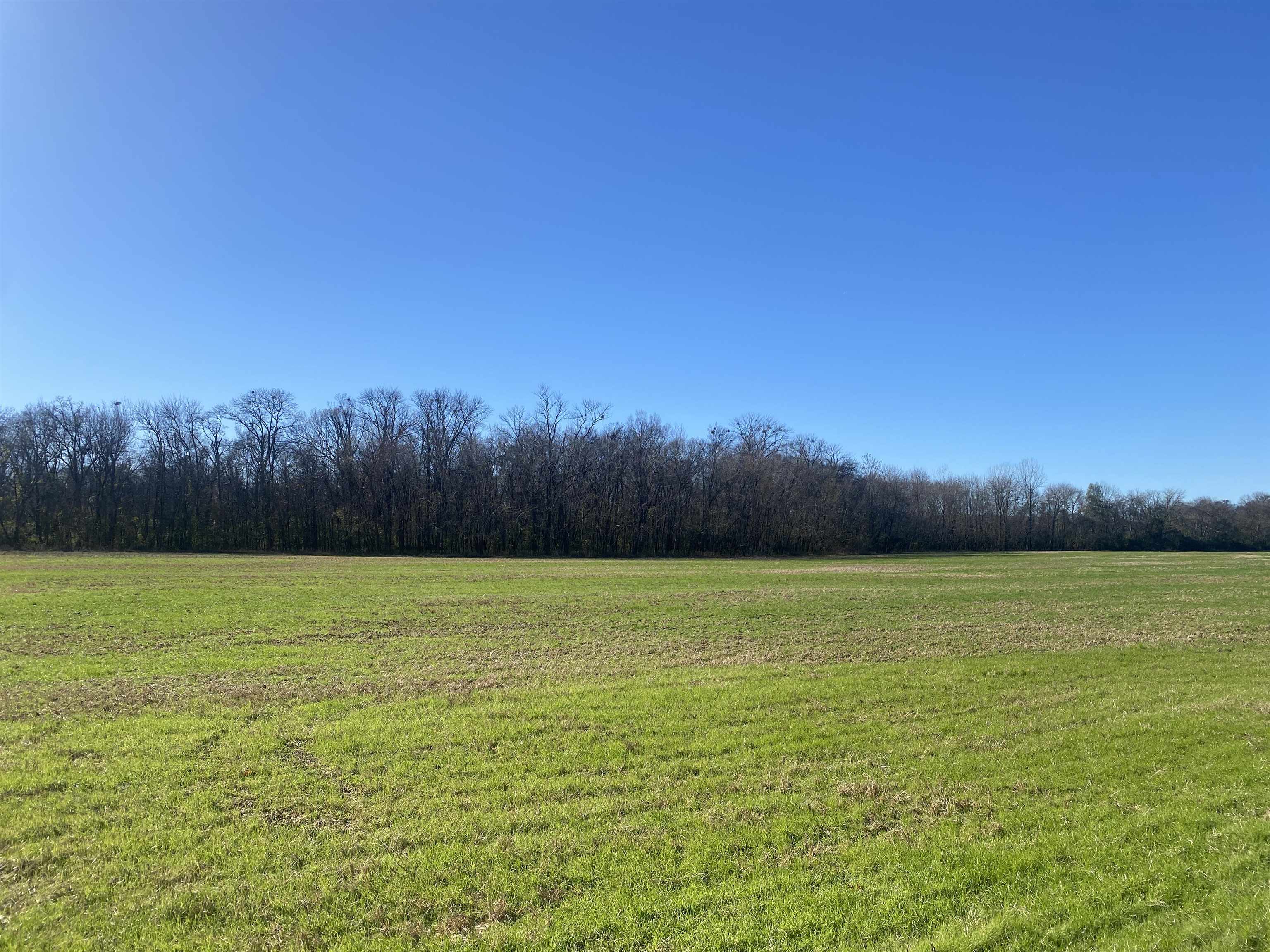 1 Bandit Way Property Photo 18