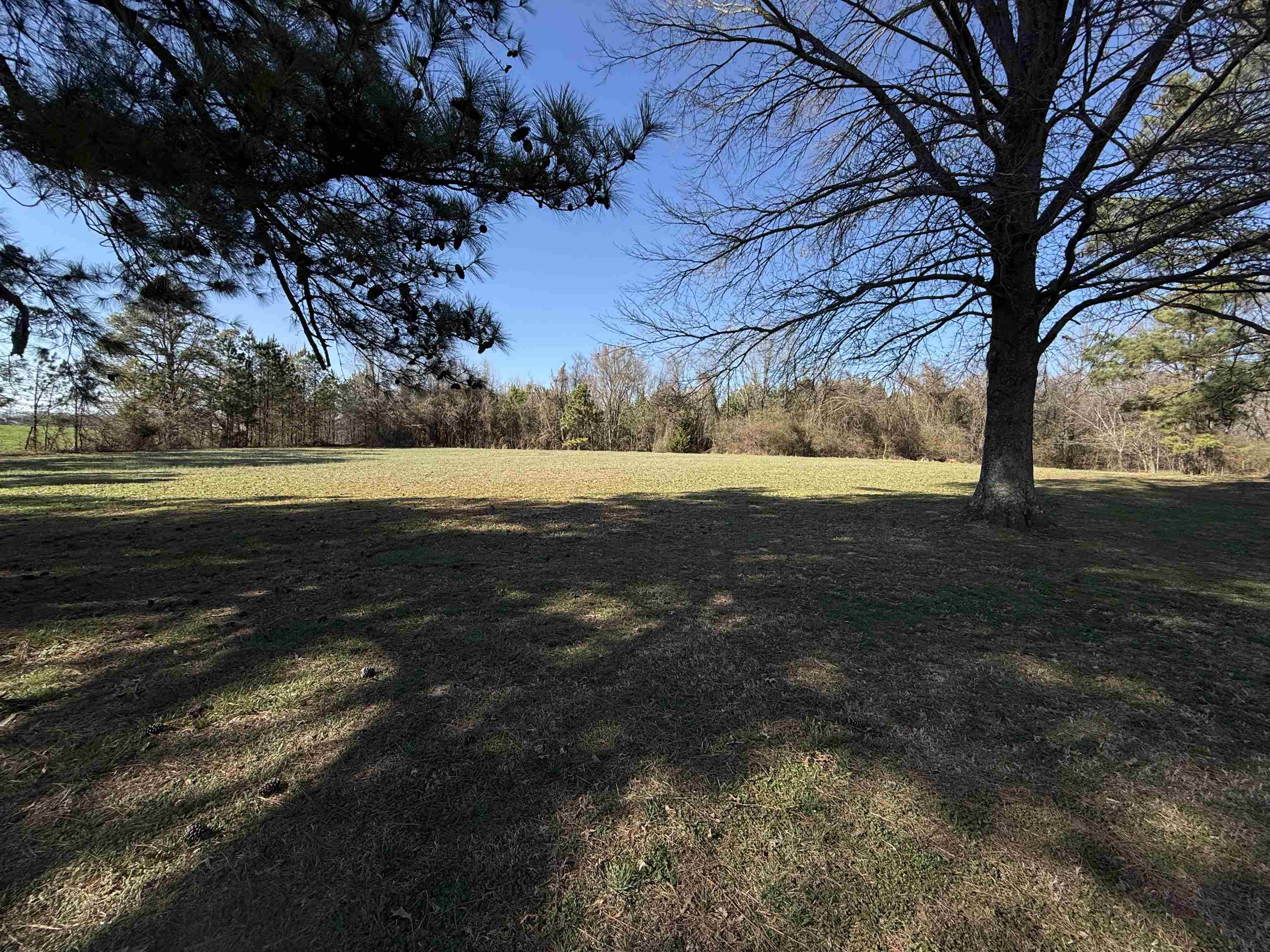 754 Mcwilliams Rd Property Photo 30