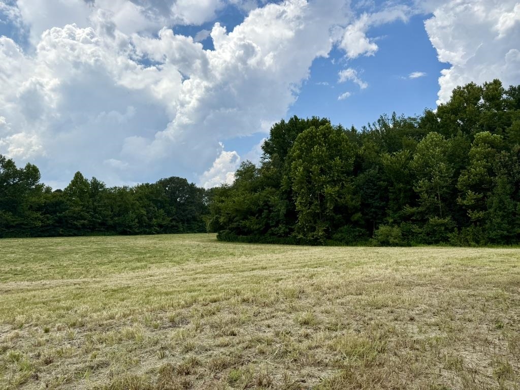0 BELL GROVE RD Property Photo 1