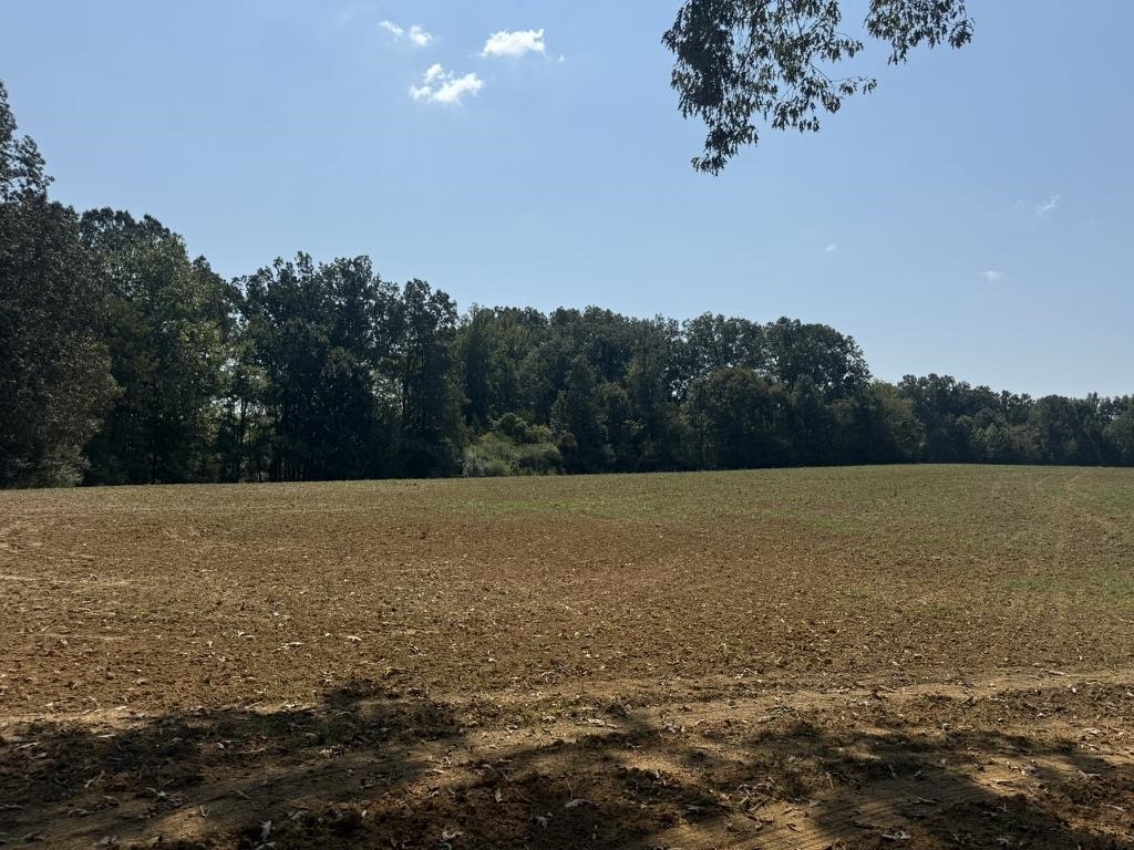 0 Bell Grove Rd Property Photo 2