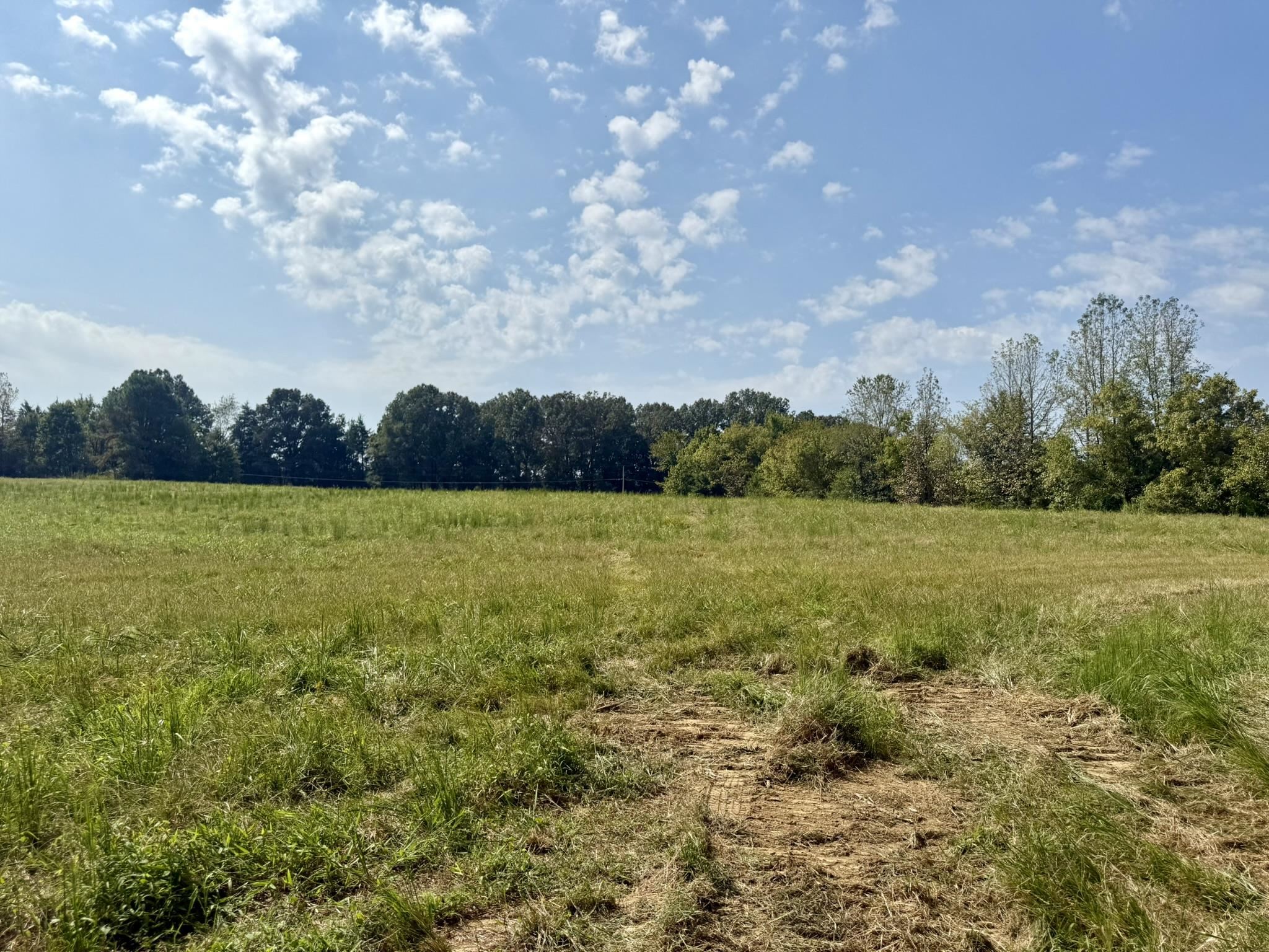 0 Bell Grove Rd Property Photo 8