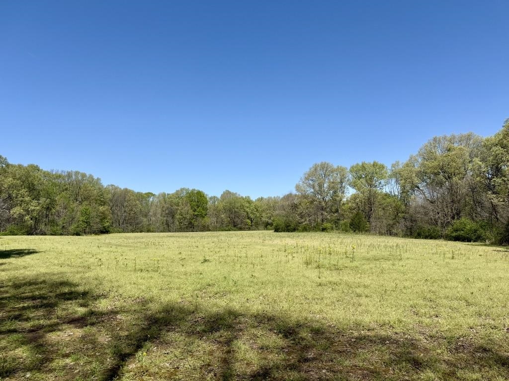 0 Bell Grove Rd Property Photo 9