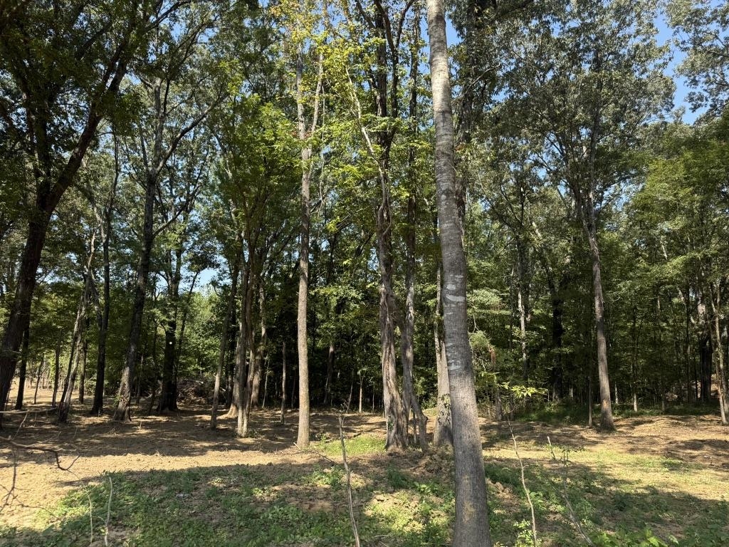 0 Bell Grove Rd Property Photo 11