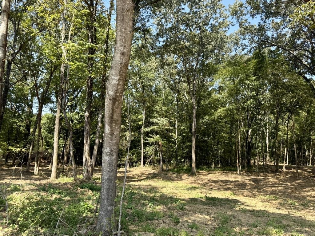 0 Bell Grove Rd Property Photo 12