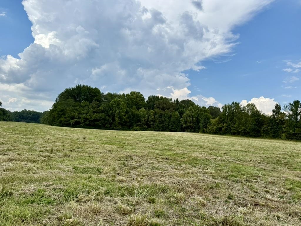 0 Bell Grove Rd Property Photo 16