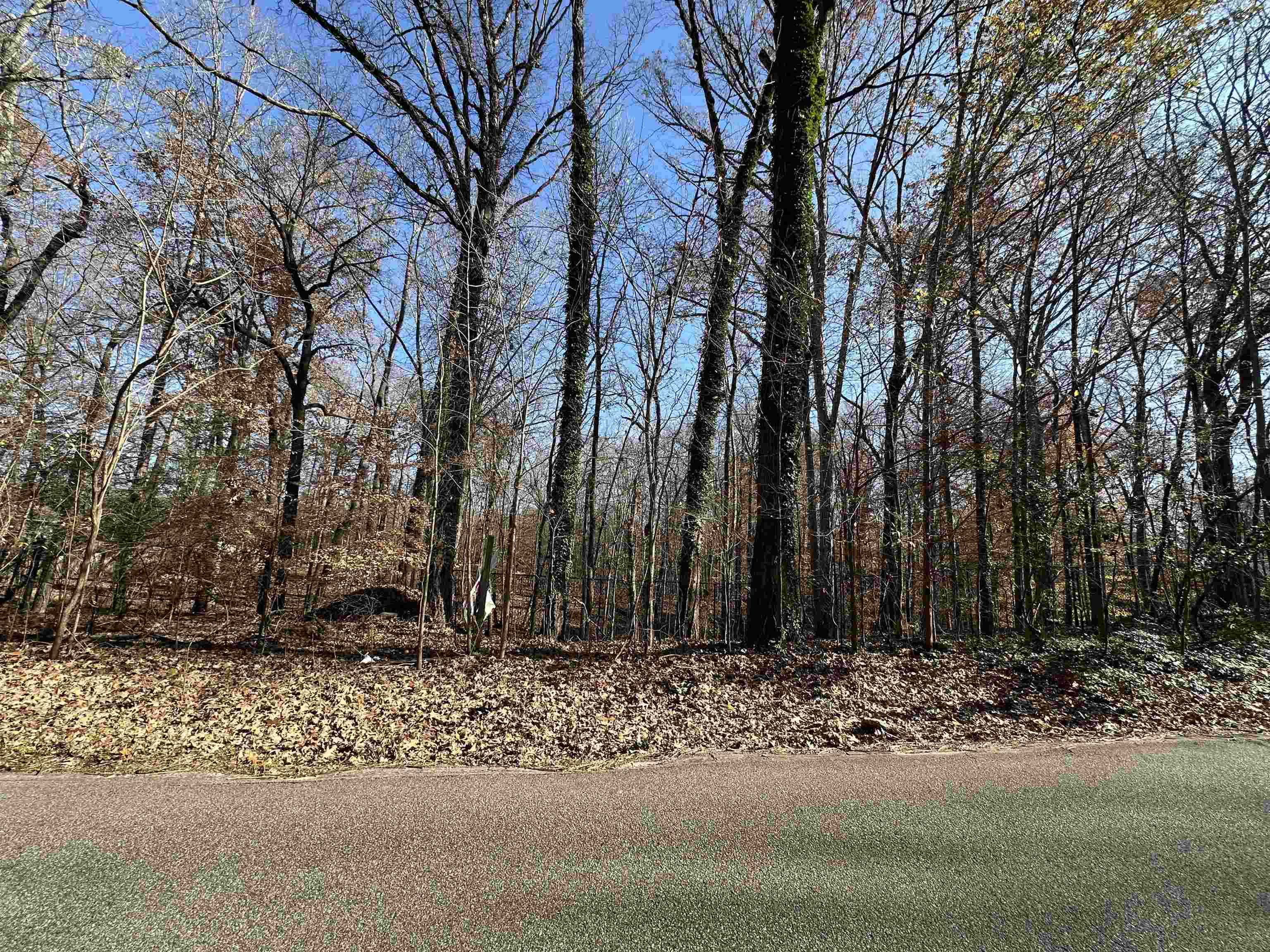 580 E ROCKY POINT DR Property Photo 1