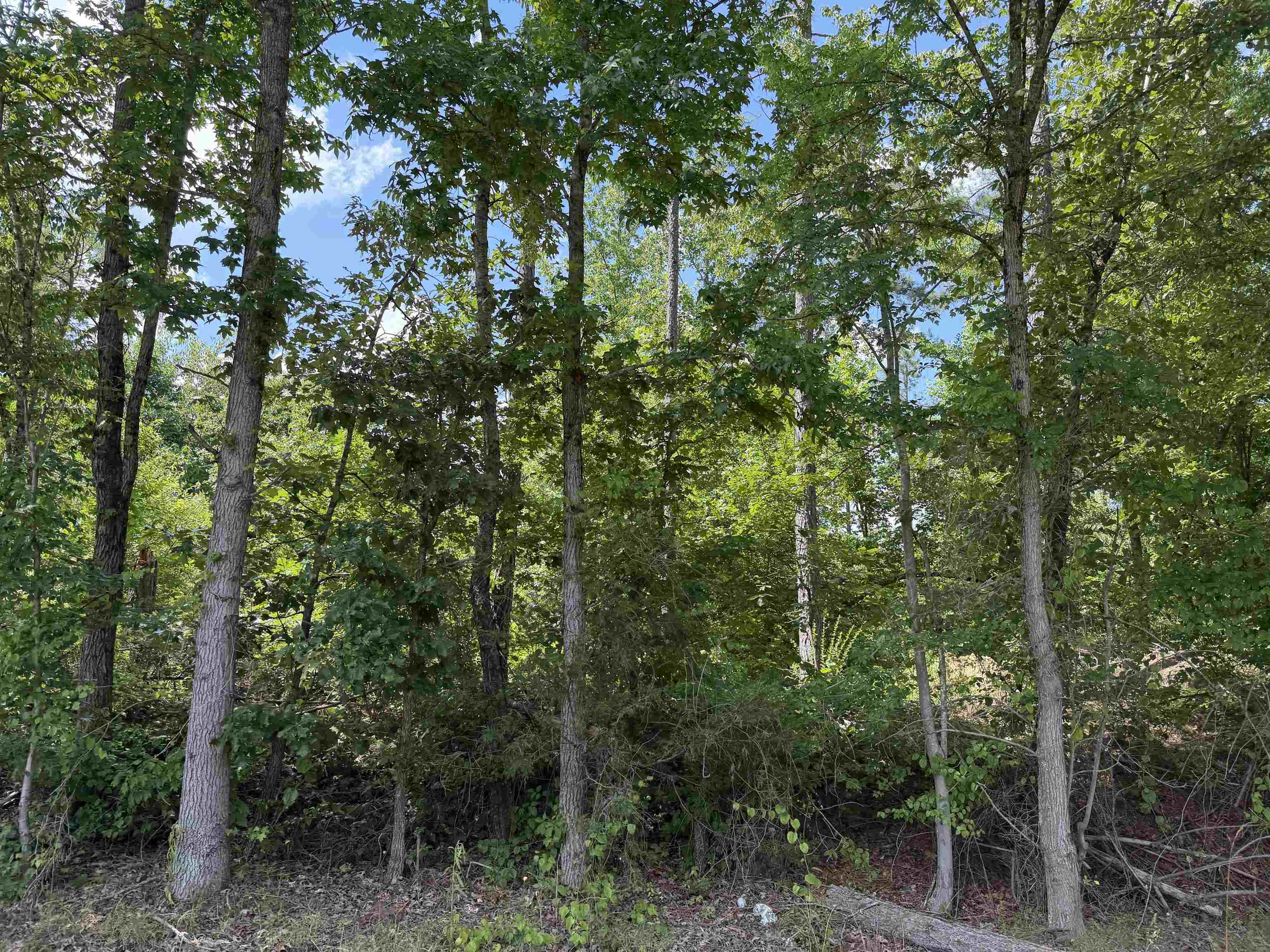 1 Rose Creek Rd Property Photo 3