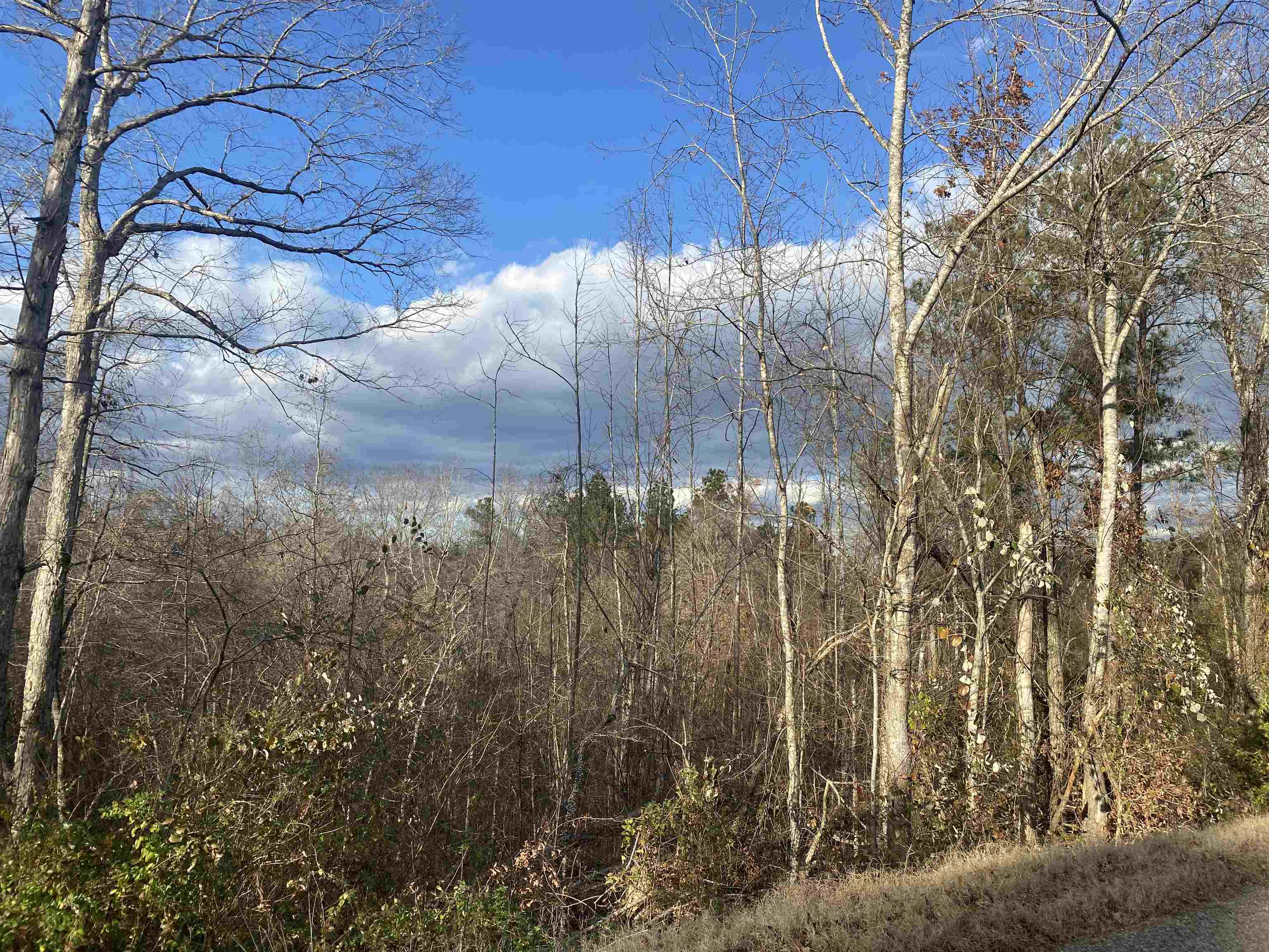 1 Rose Creek Rd Property Photo 6
