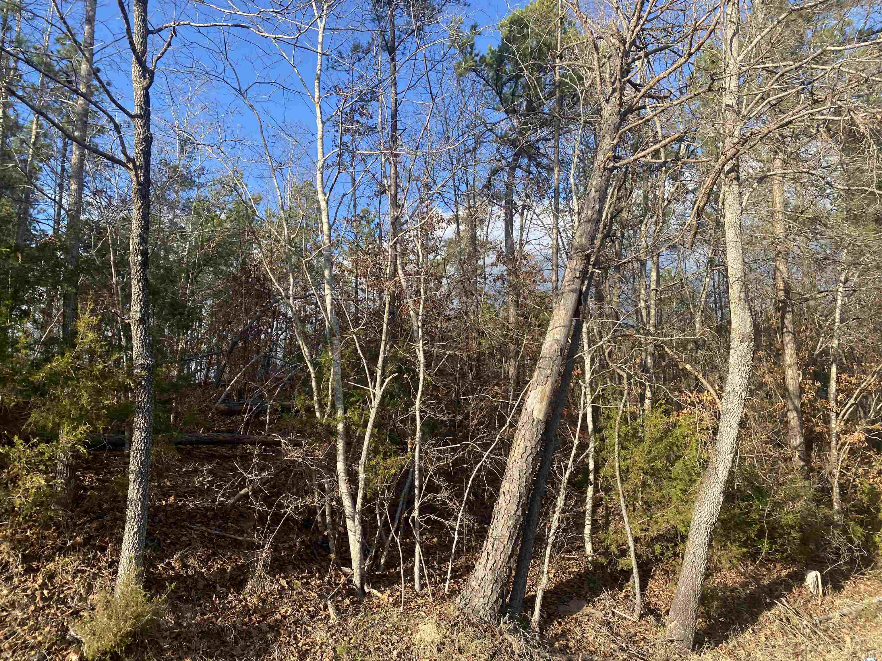1 Rose Creek Rd Property Photo 11