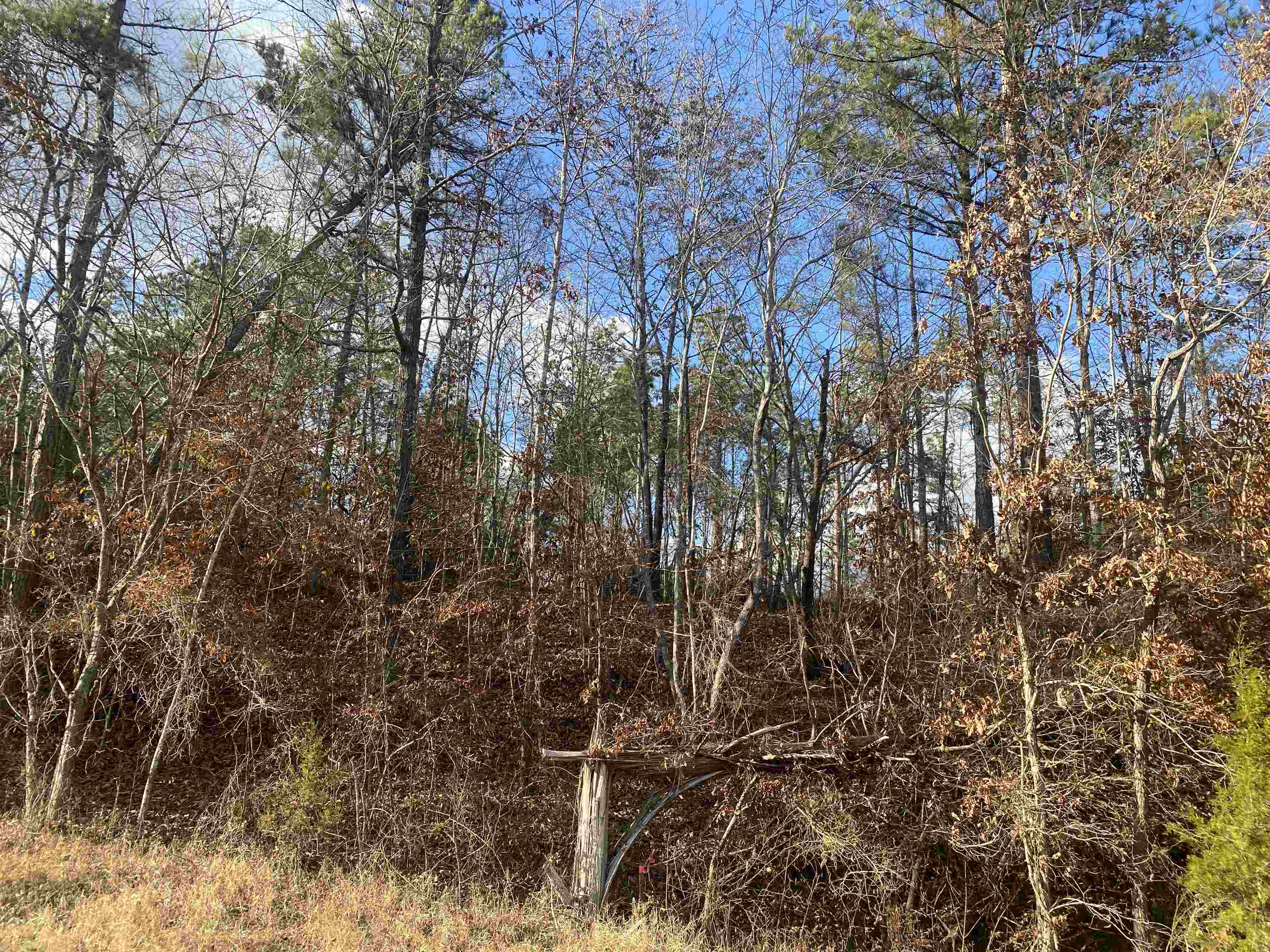 1 Rose Creek Rd Property Photo 13