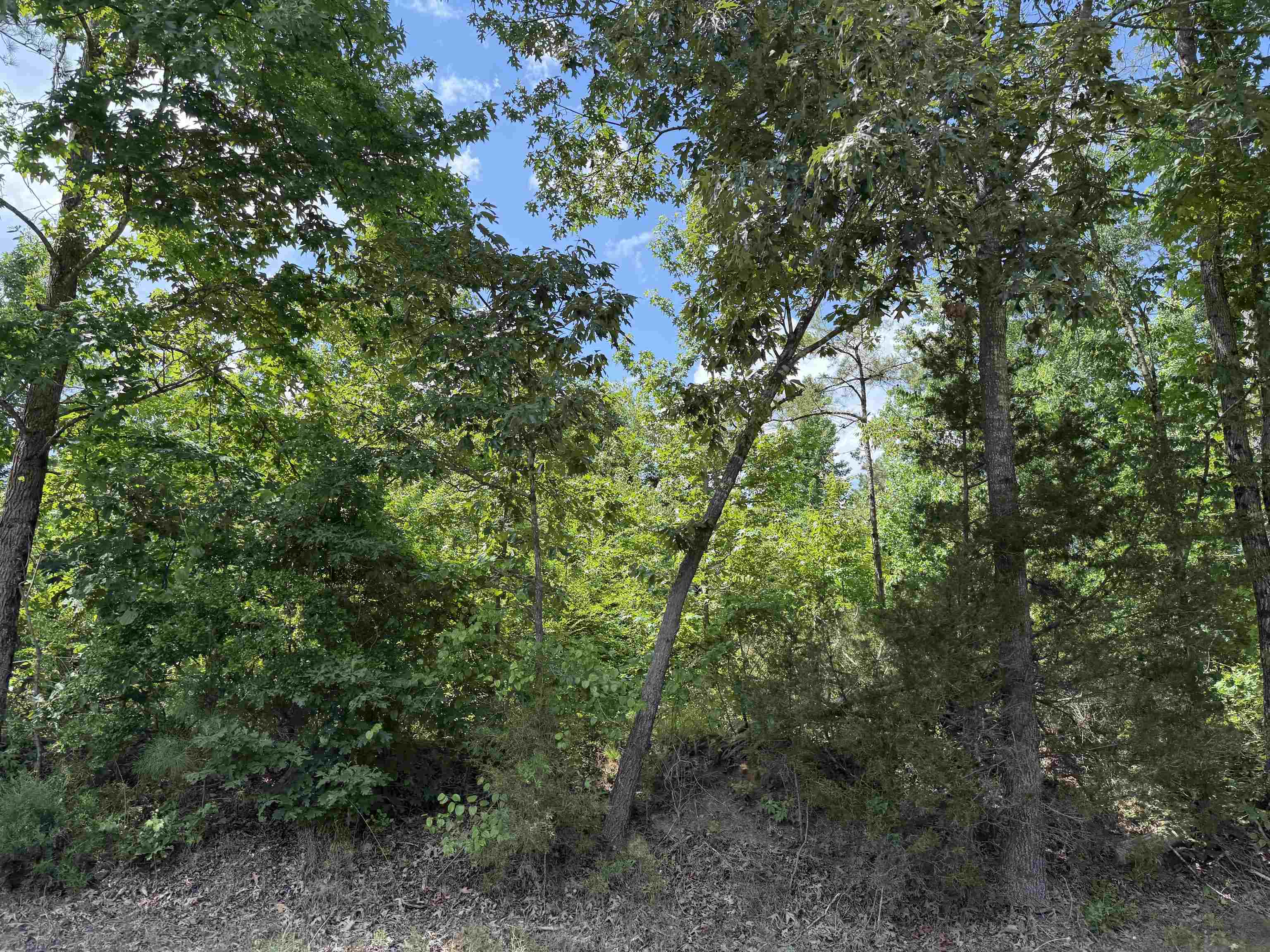 1 Rose Creek Rd Property Photo 17