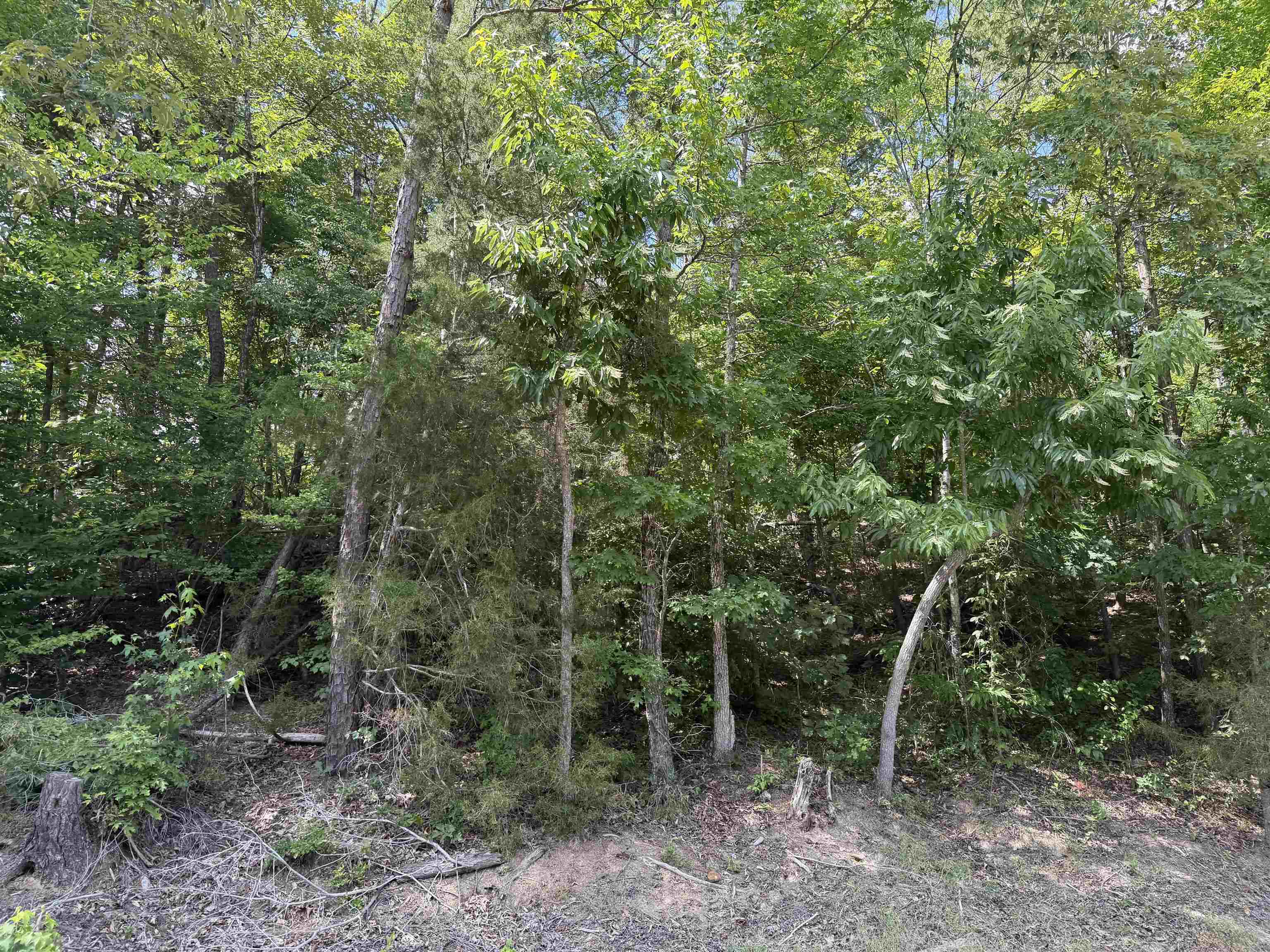 2 Rose Creek Rd Property Photo 2