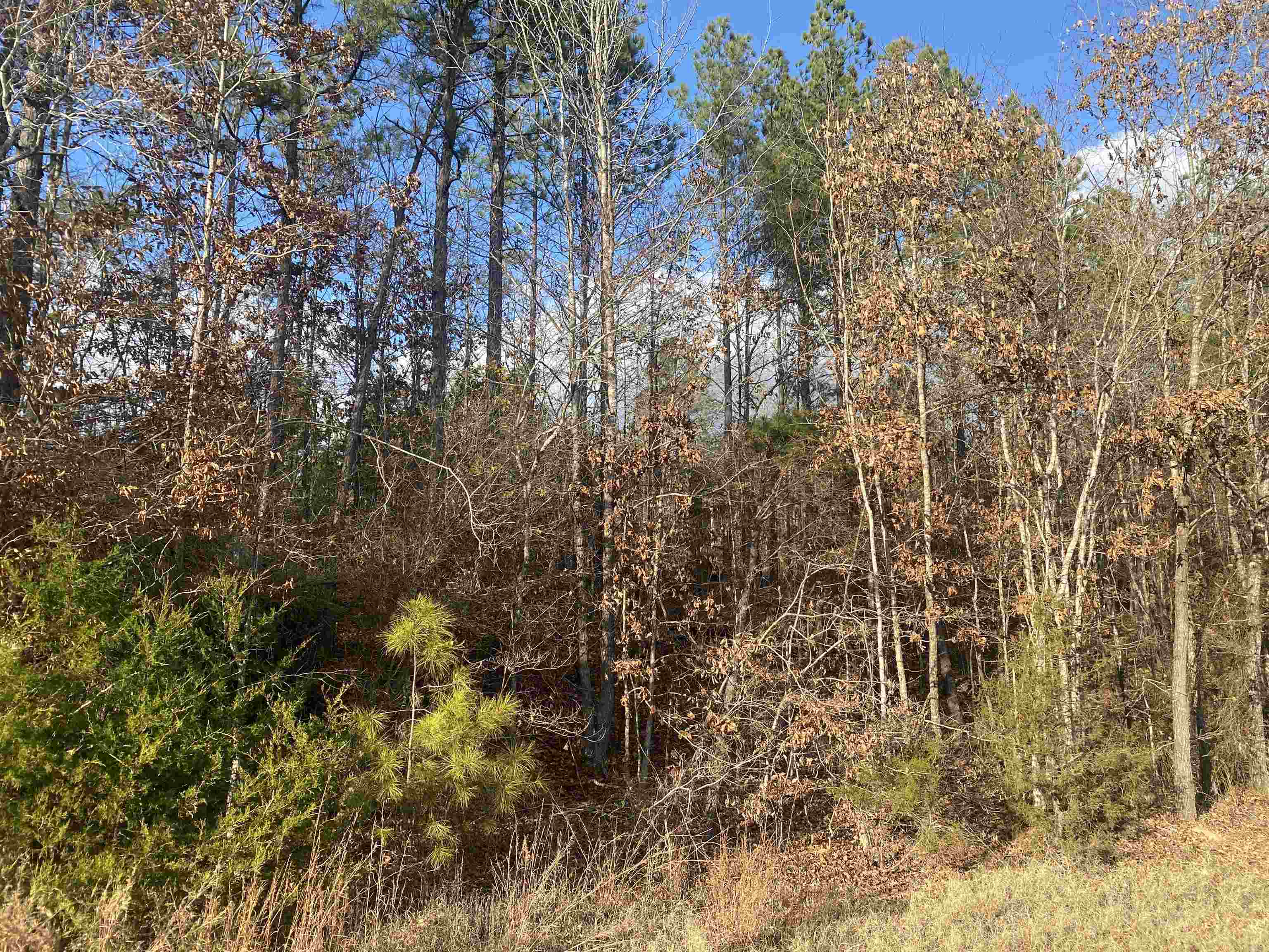 2 Rose Creek Rd Property Photo 4