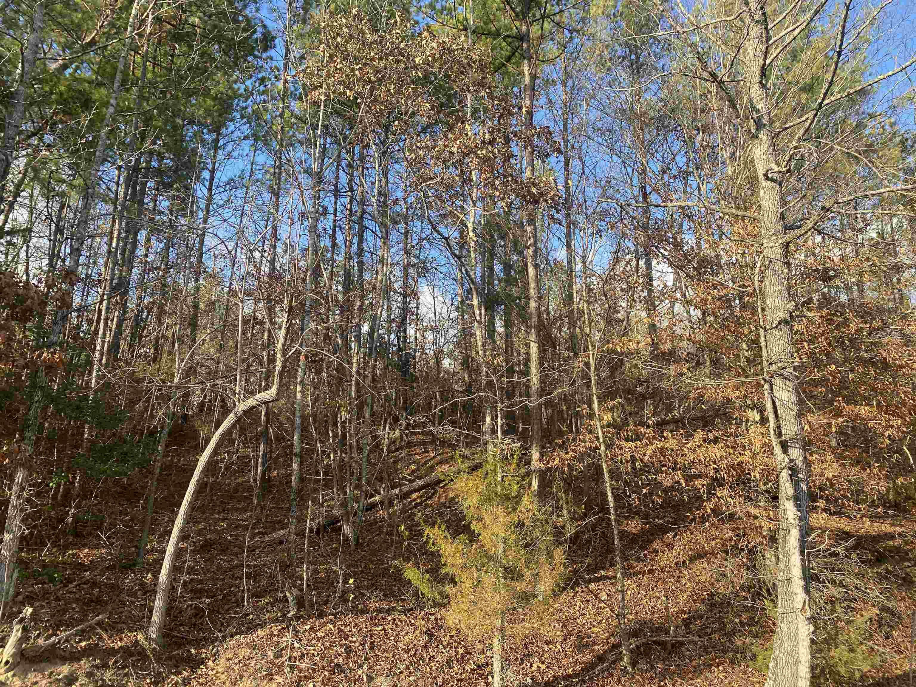 2 Rose Creek Rd Property Photo 7