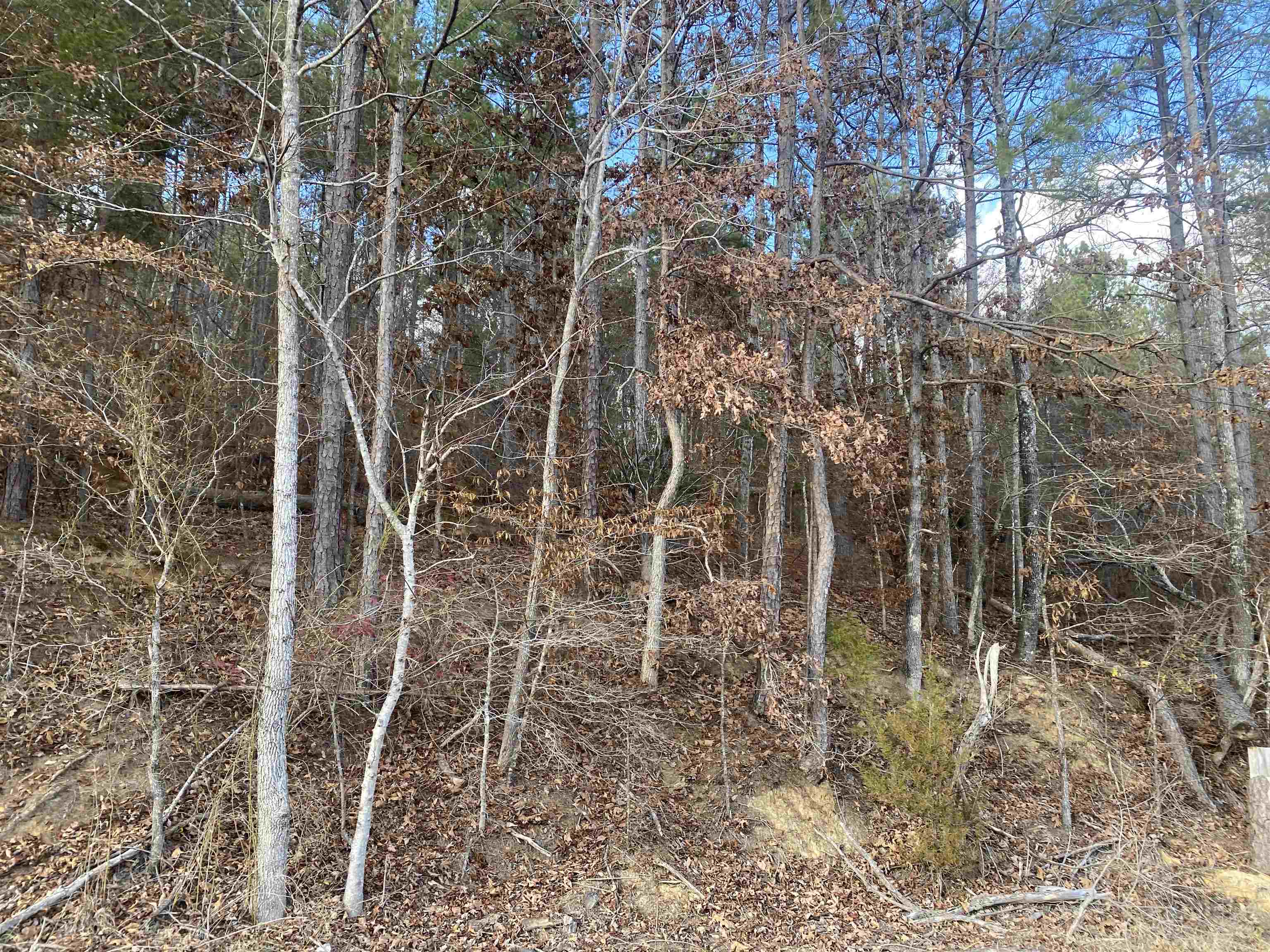 2 Rose Creek Rd Property Photo 13