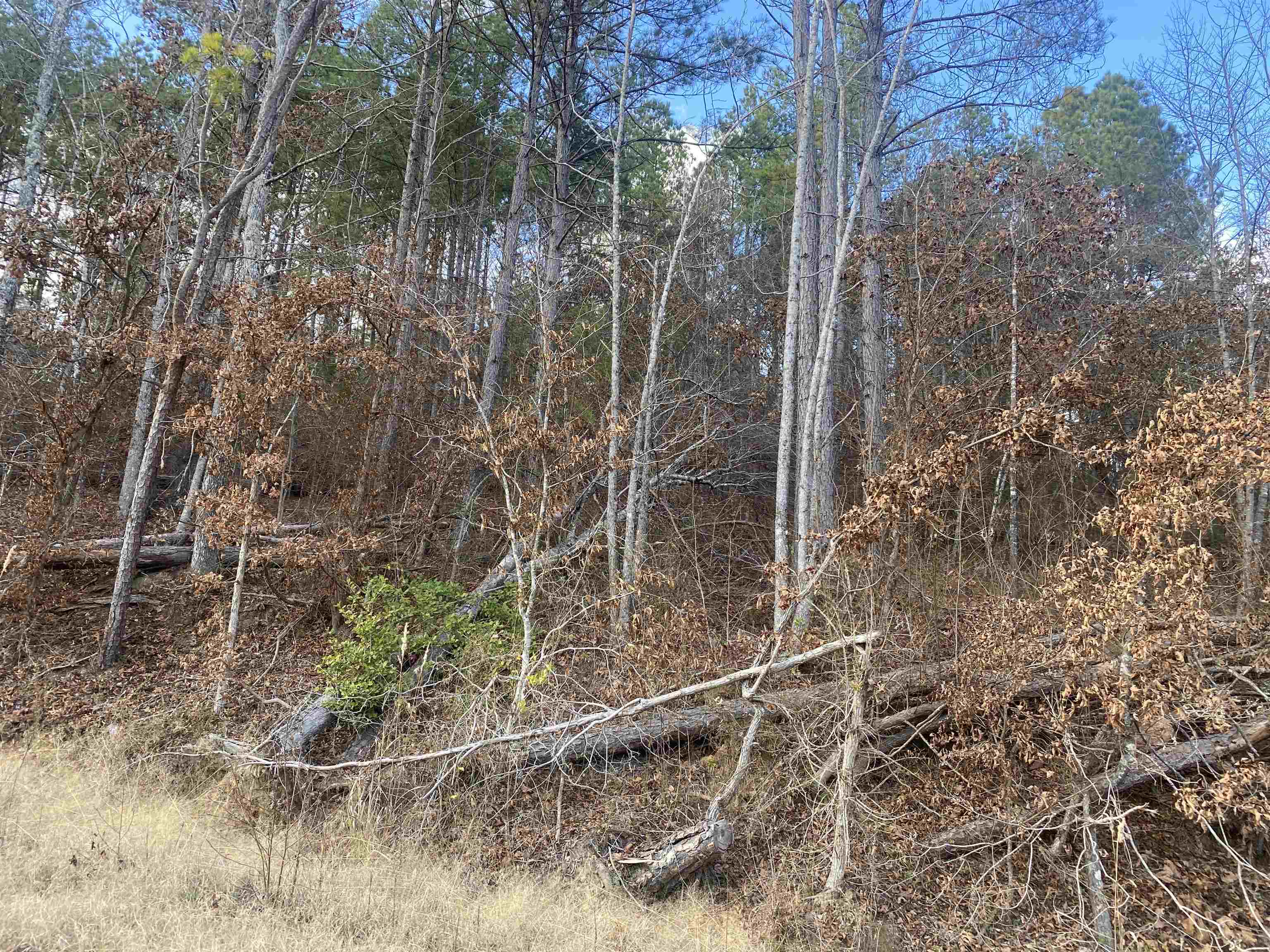 2 Rose Creek Rd Property Photo 14