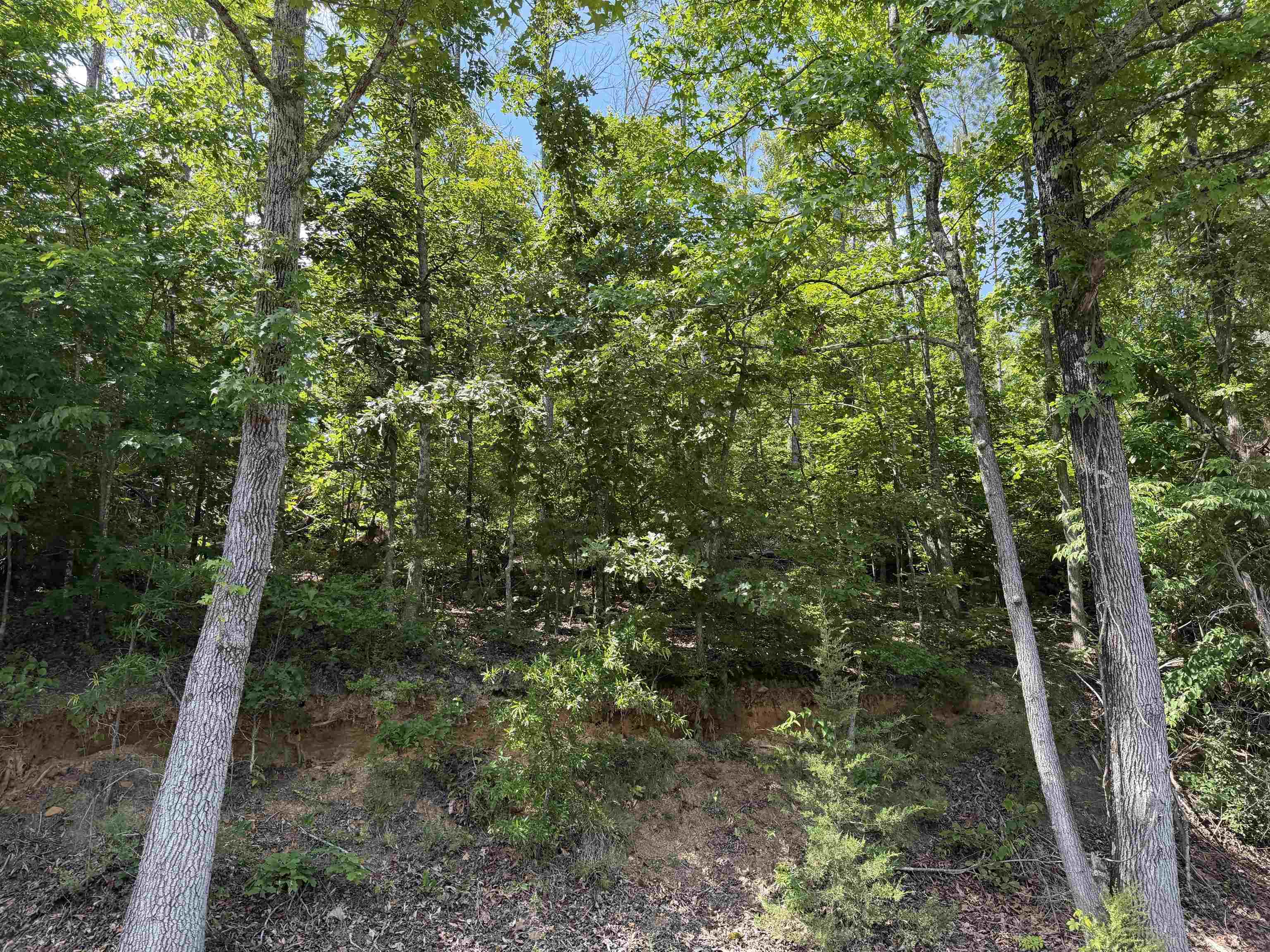 2 Rose Creek Rd Property Photo 18