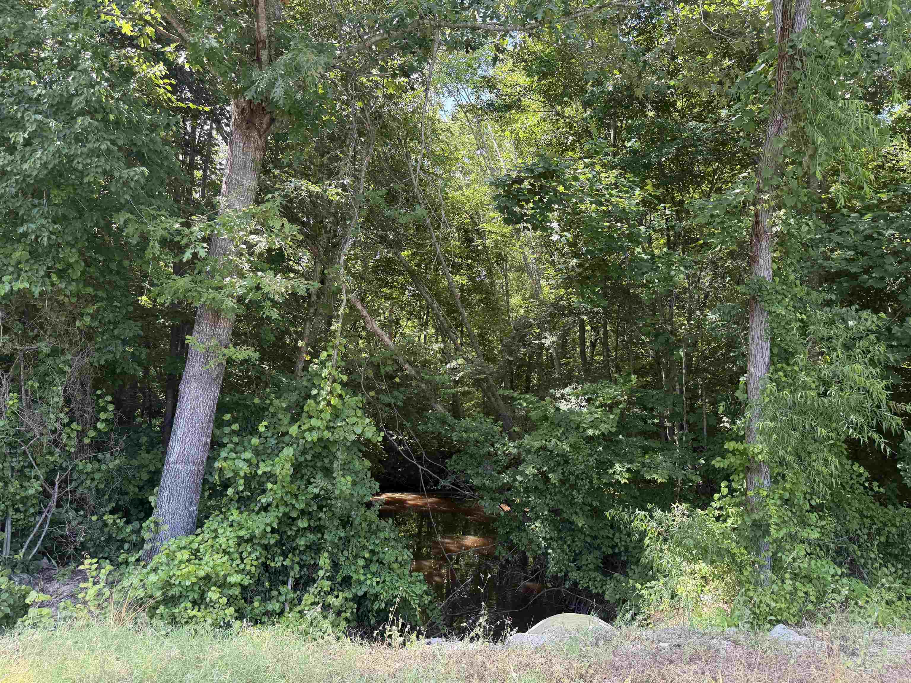 3 Rose Creek Rd Property Photo 4