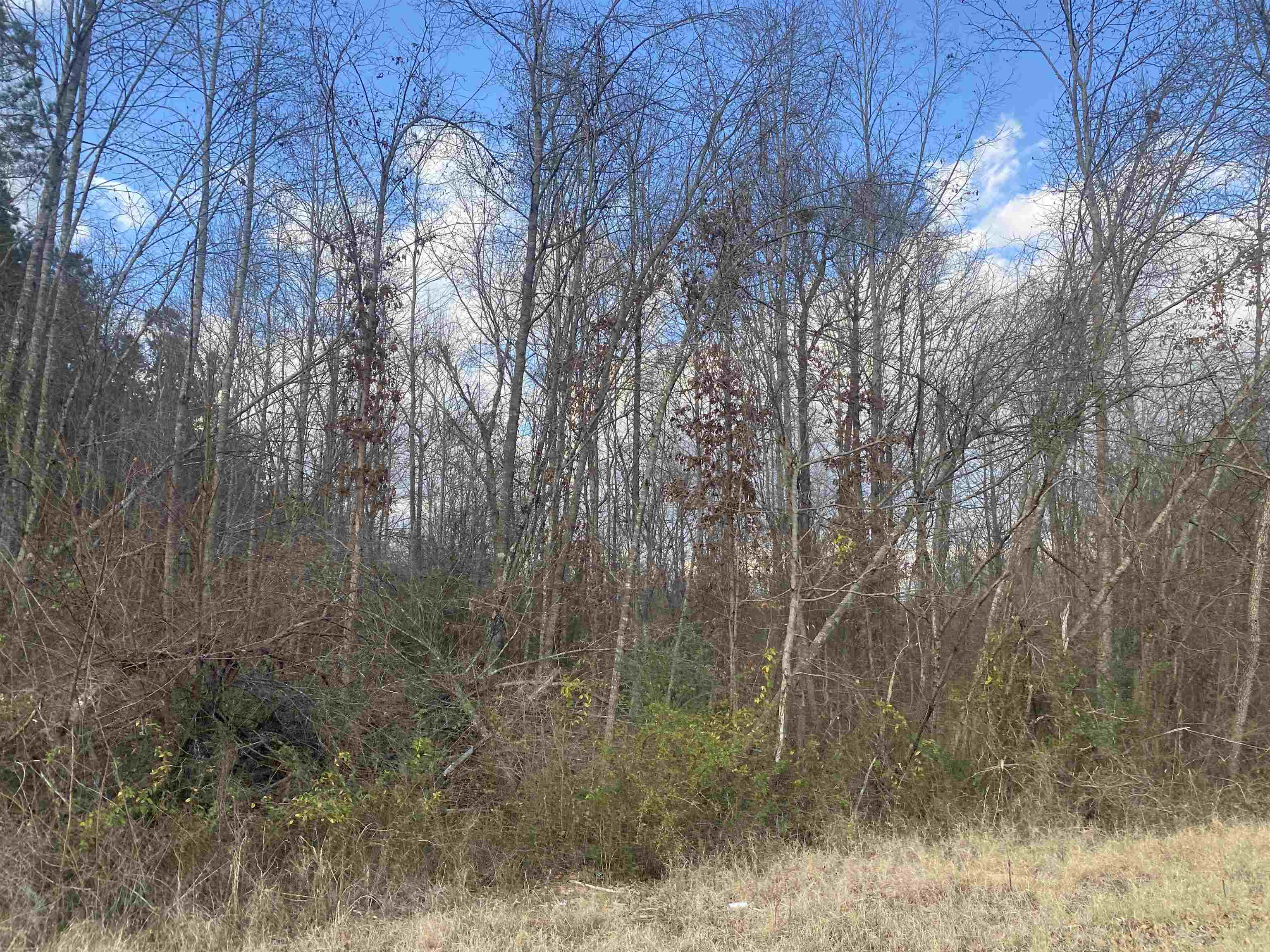 3 Rose Creek Rd Property Photo 9