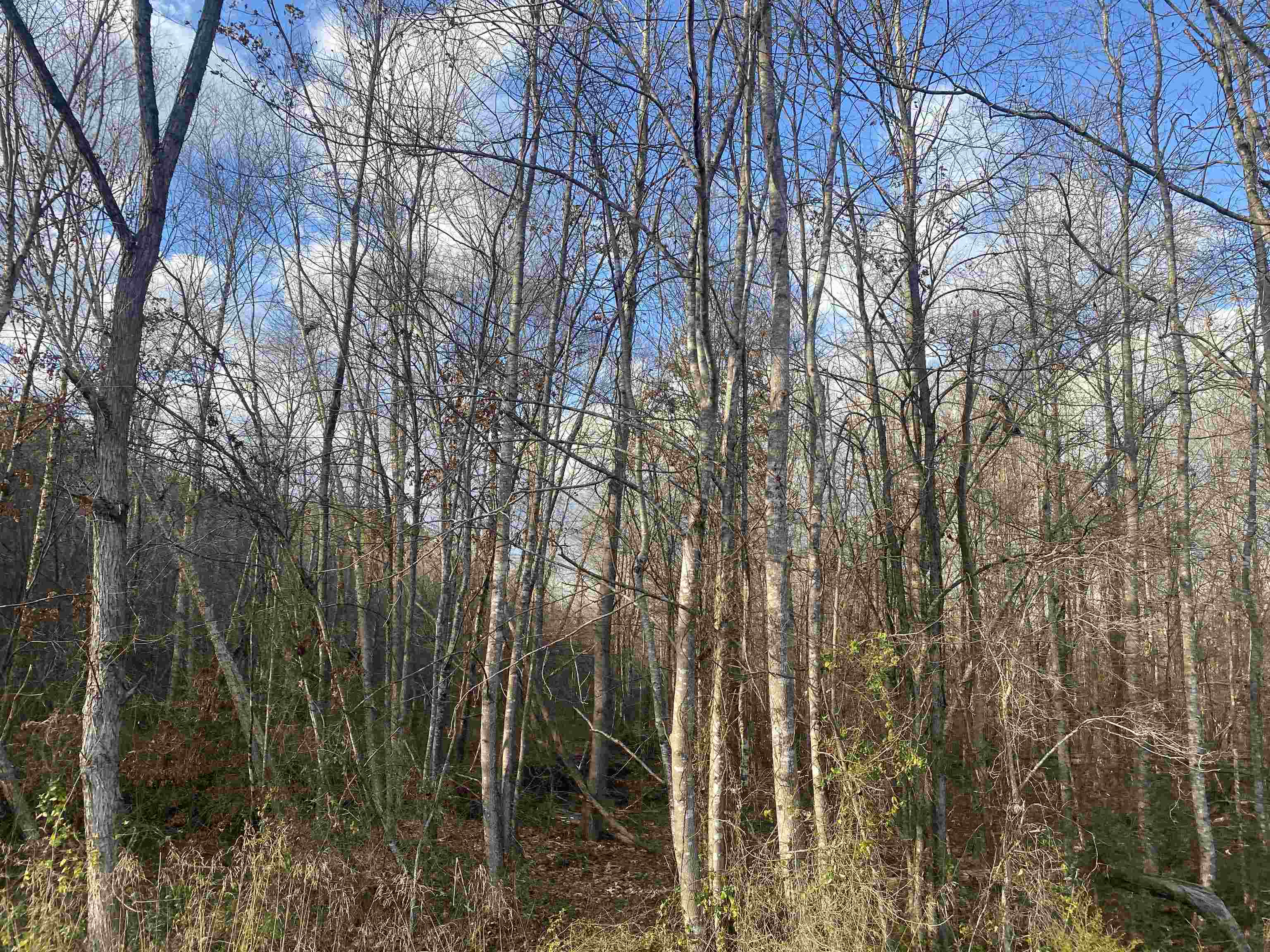 3 Rose Creek Rd Property Photo 11
