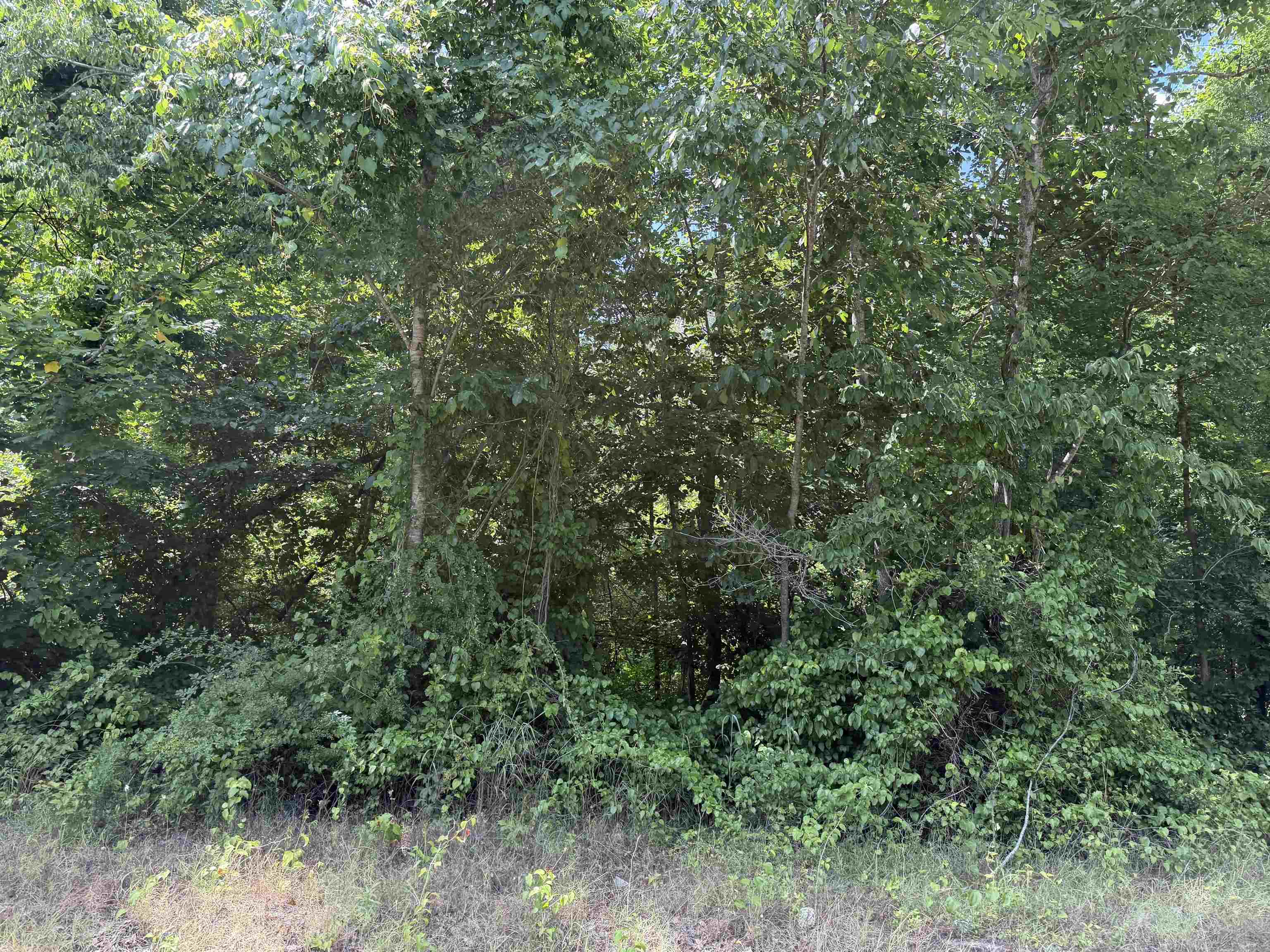 3 Rose Creek Rd Property Photo 15