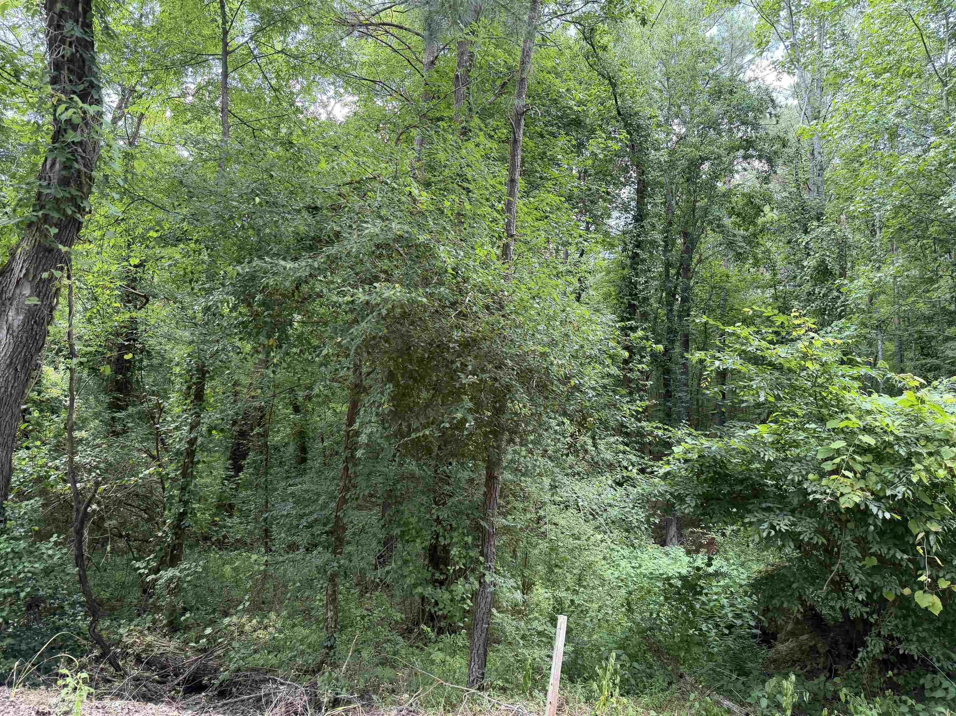 8 Rose Creek Rd Property Photo 5