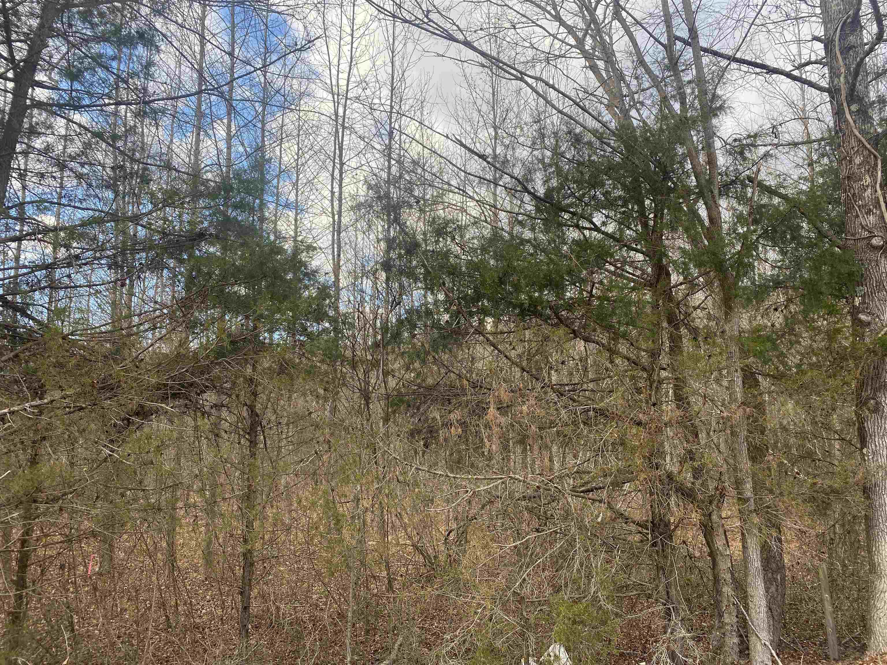 8 Rose Creek Rd Property Photo 9
