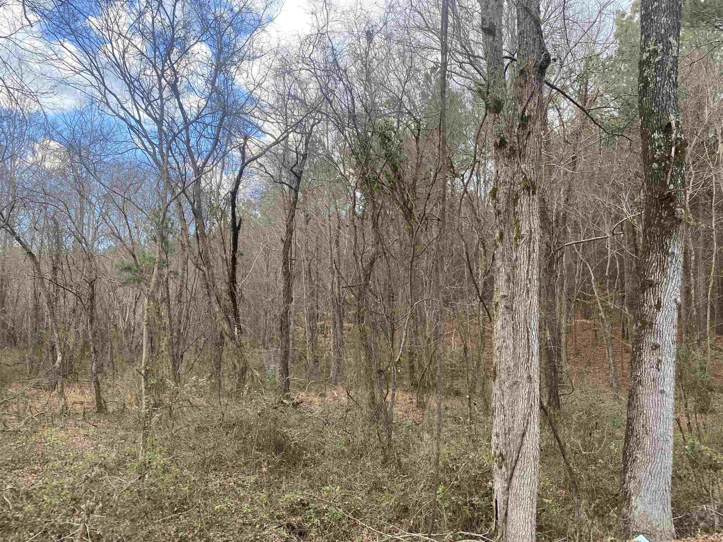 8 Rose Creek Rd Property Photo 13