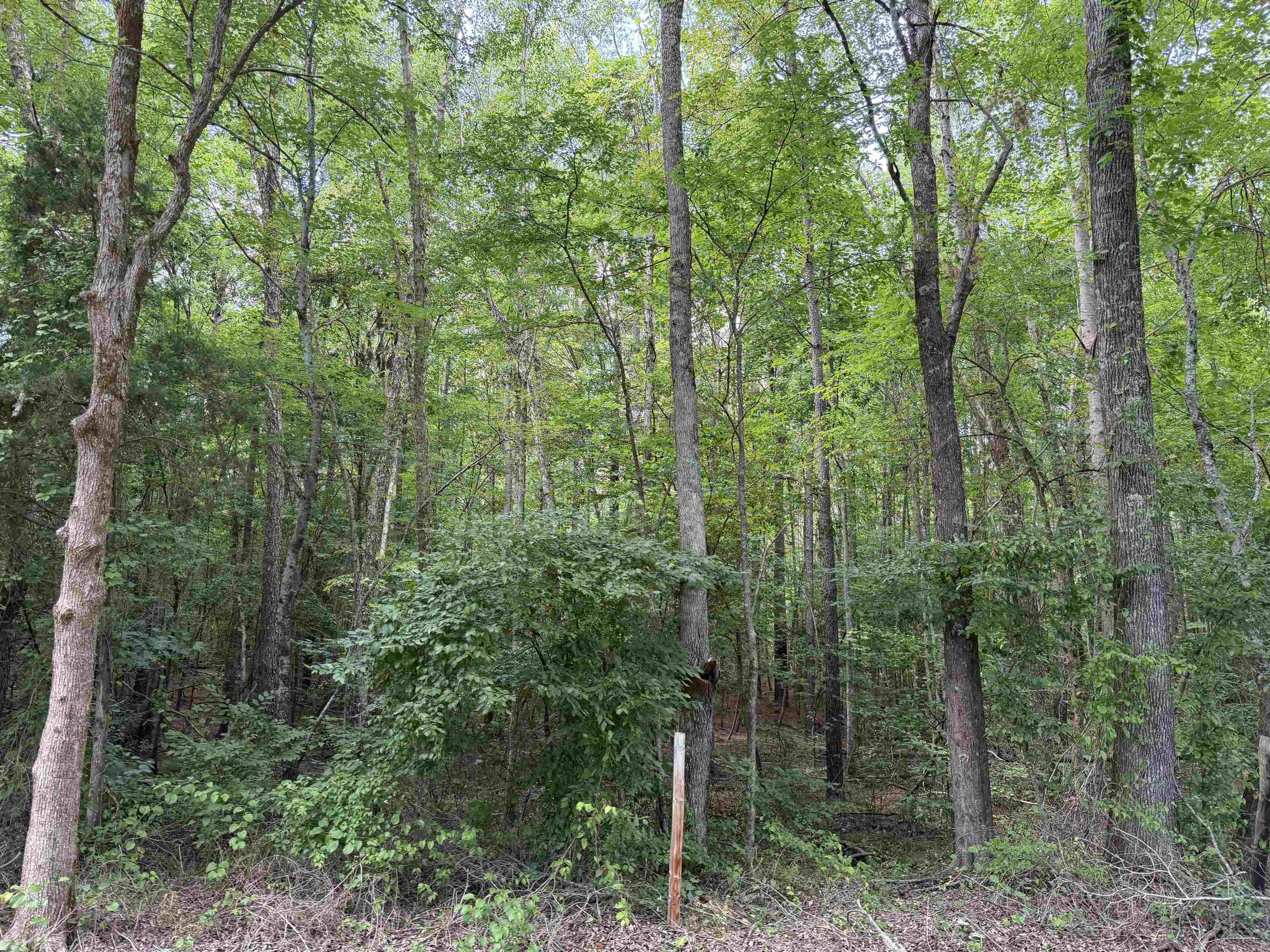 9 Rose Creek Rd Property Photo 5
