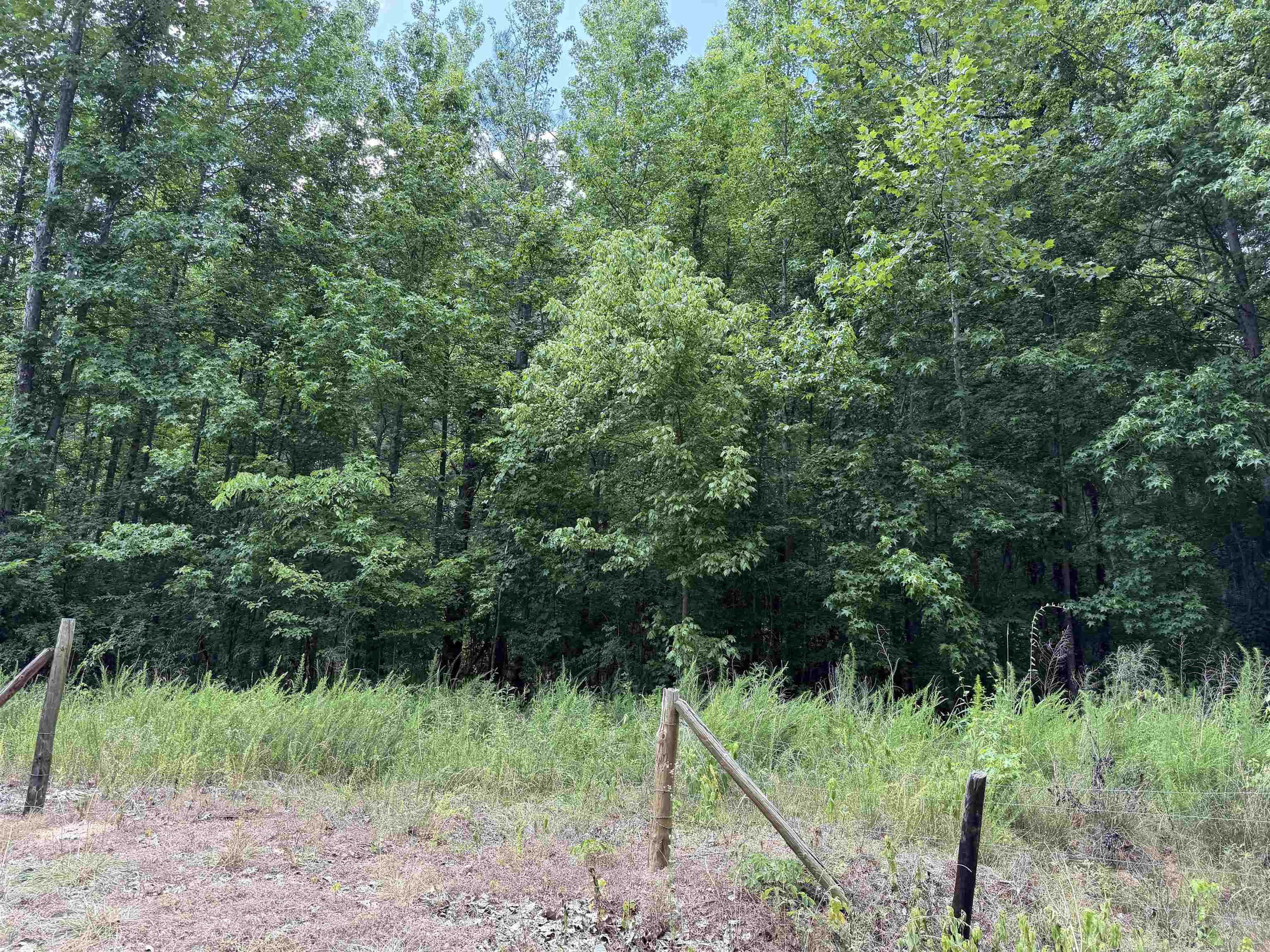 10 Rose Creek Rd Property Photo 5