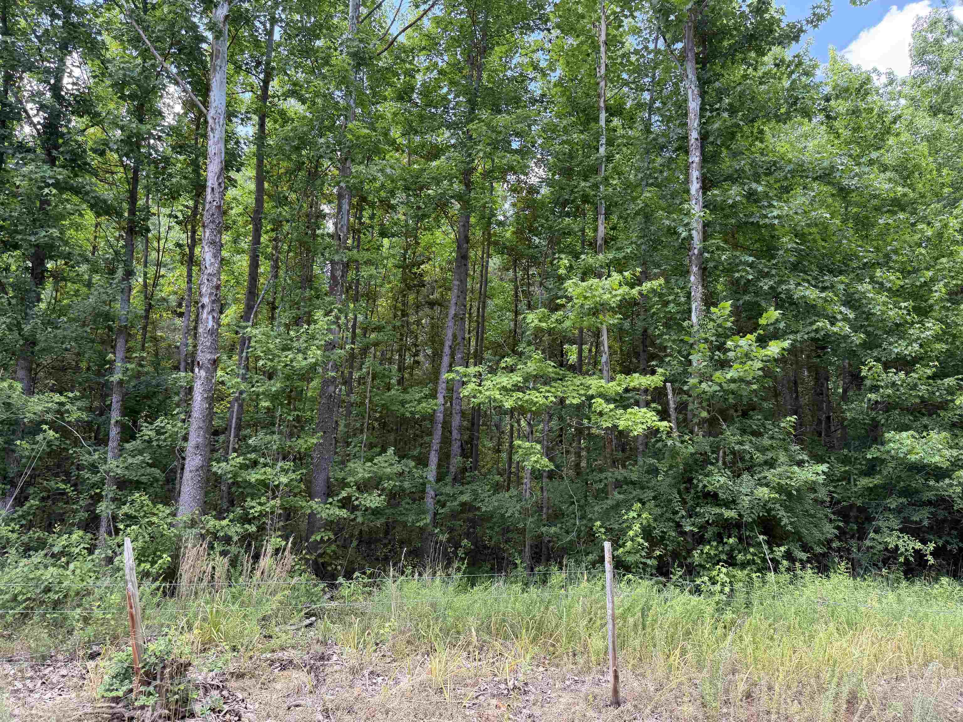 10 Rose Creek Rd Property Photo 6